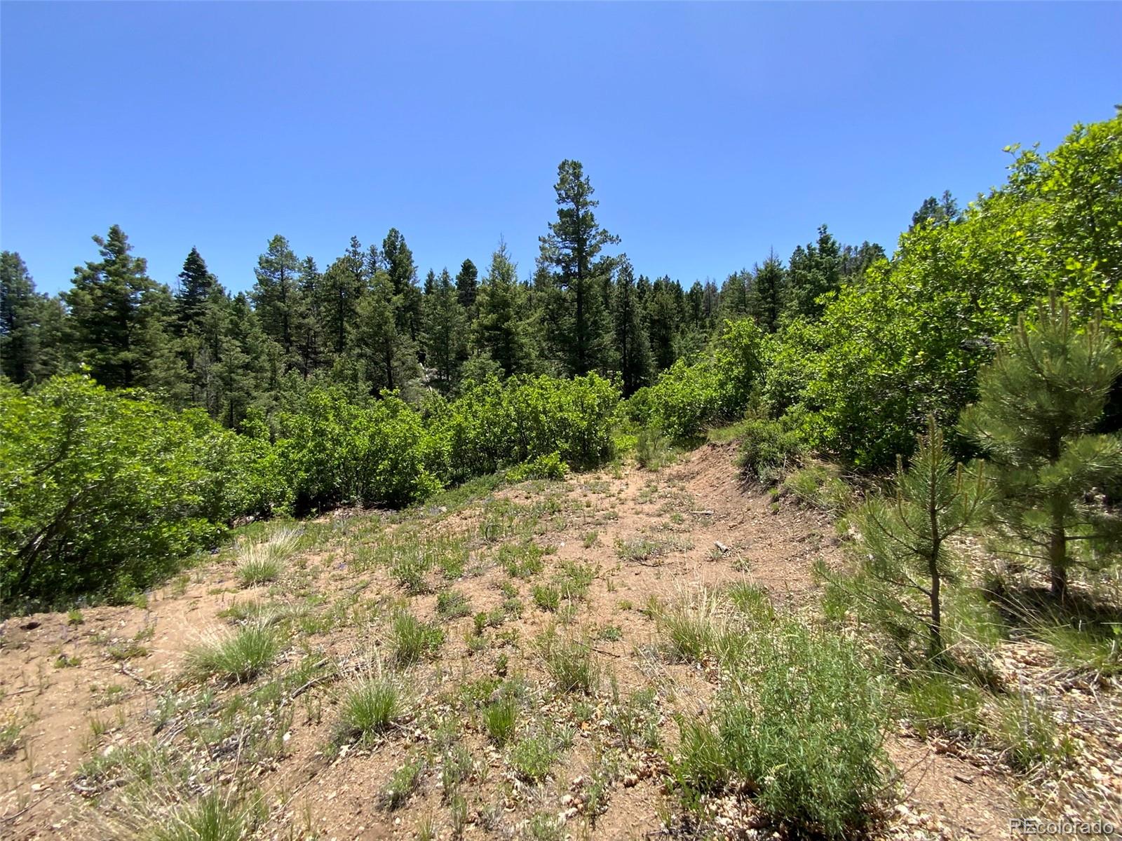 000 Peak View Ridge