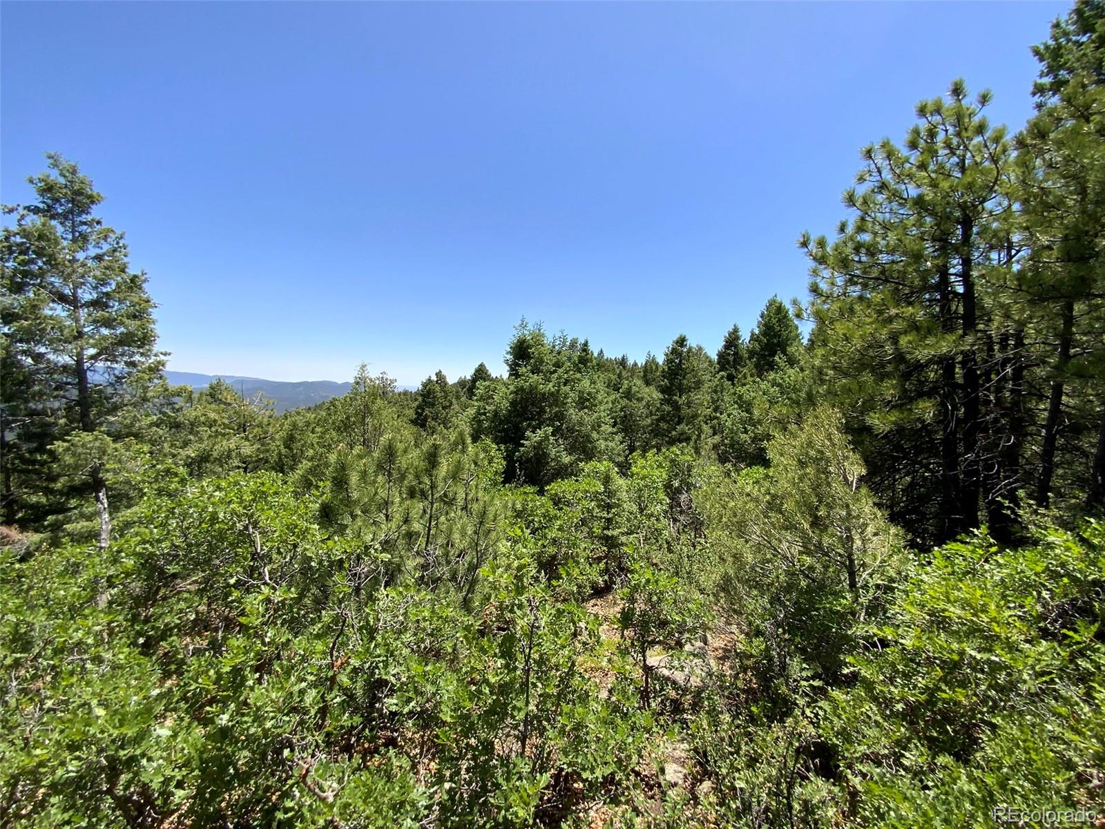 000 Peak View Ridge