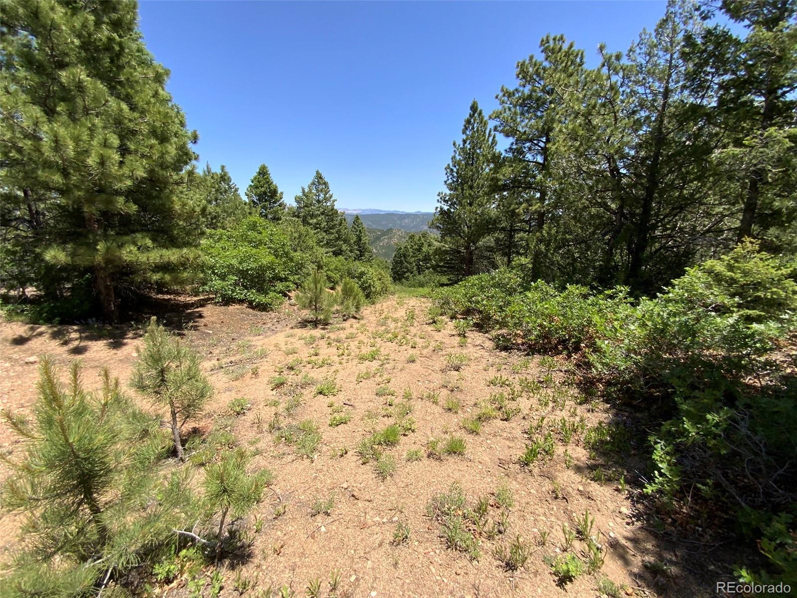 000 Peak View Ridge