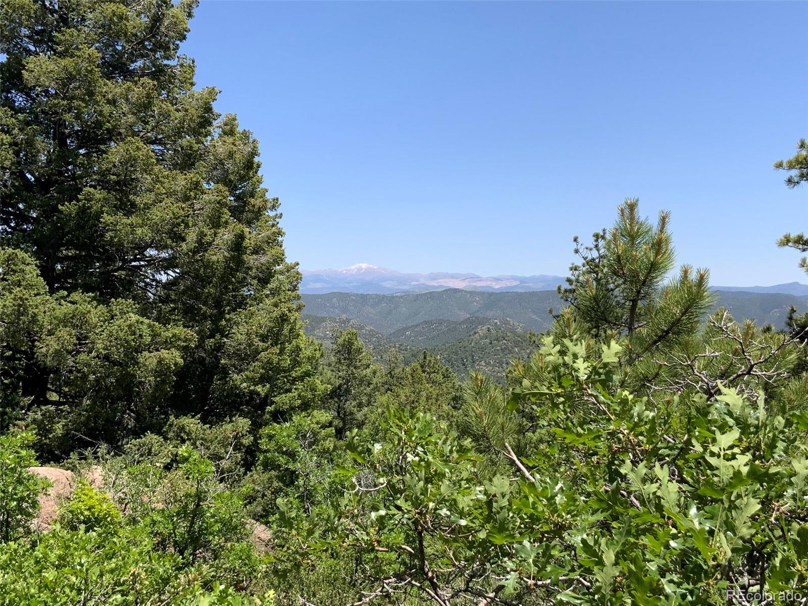 000 Peak View Ridge