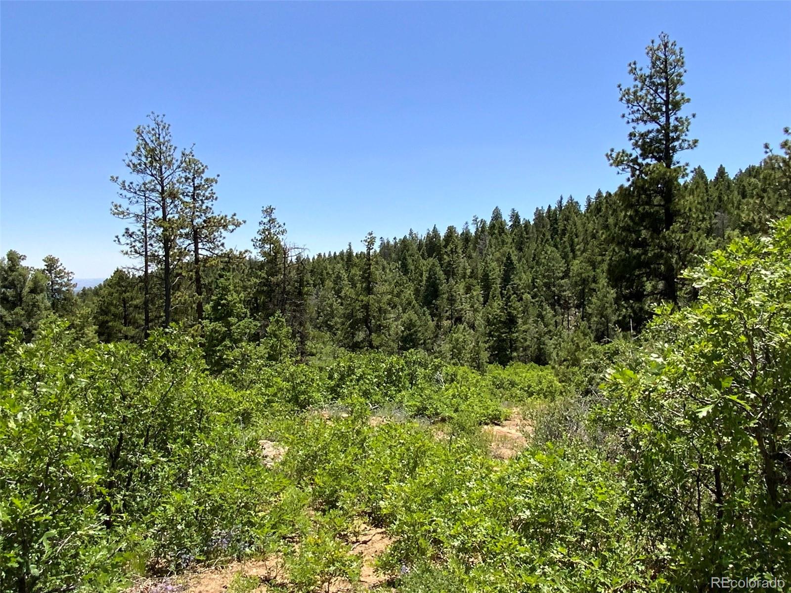 000 Peak View Ridge