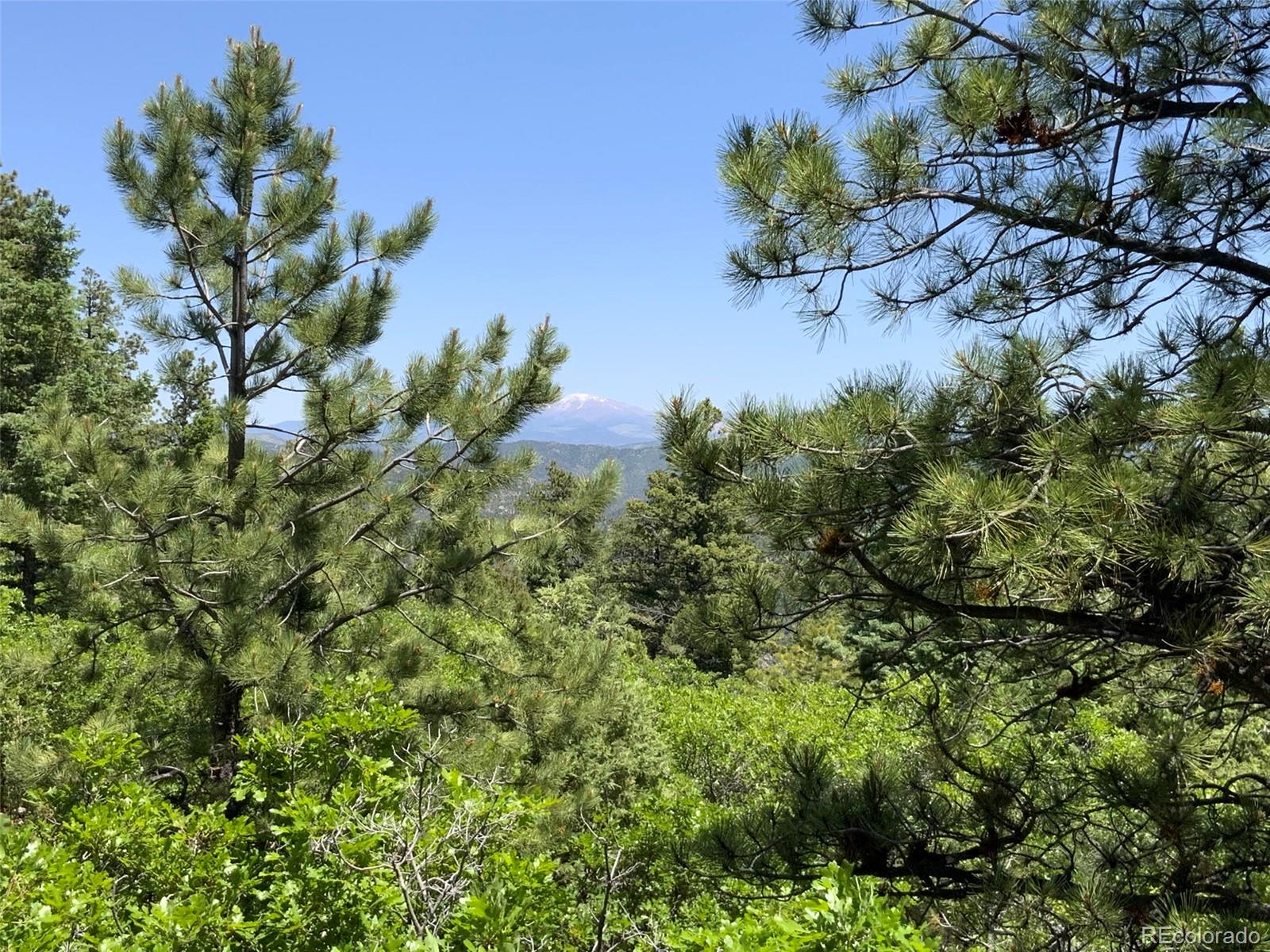 000 Peak View Ridge