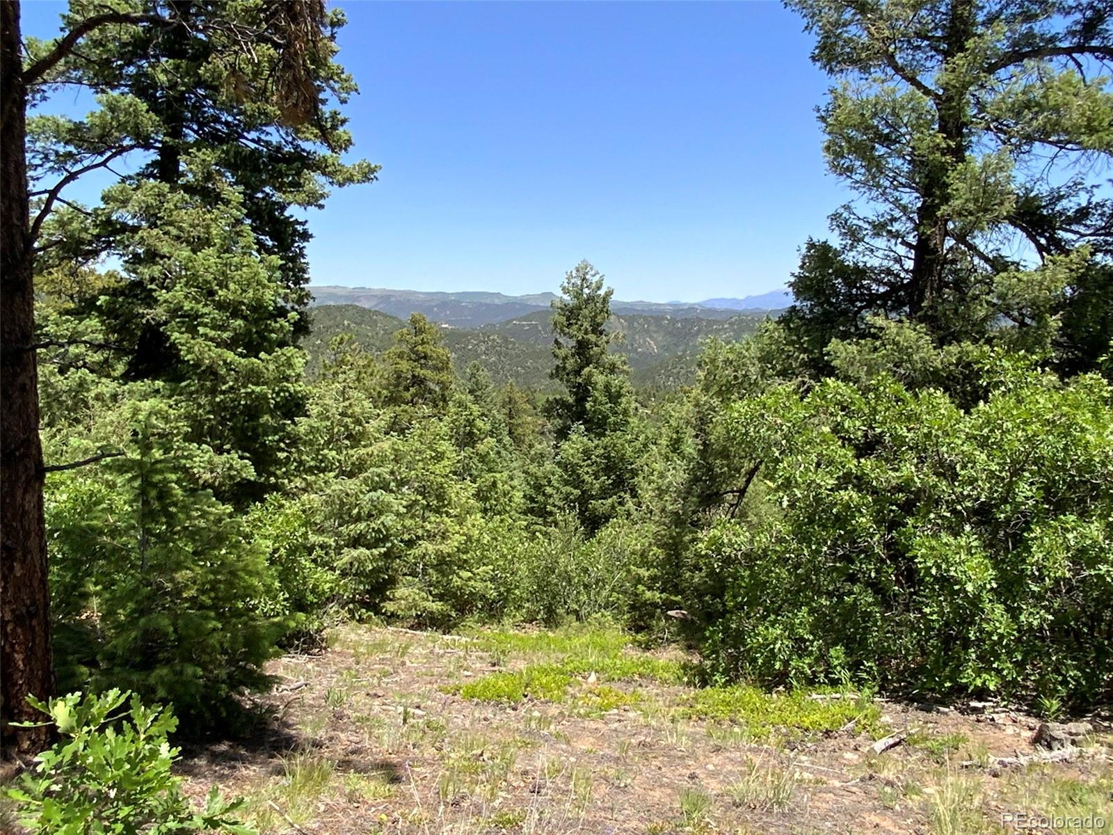 000 Peak View Ridge