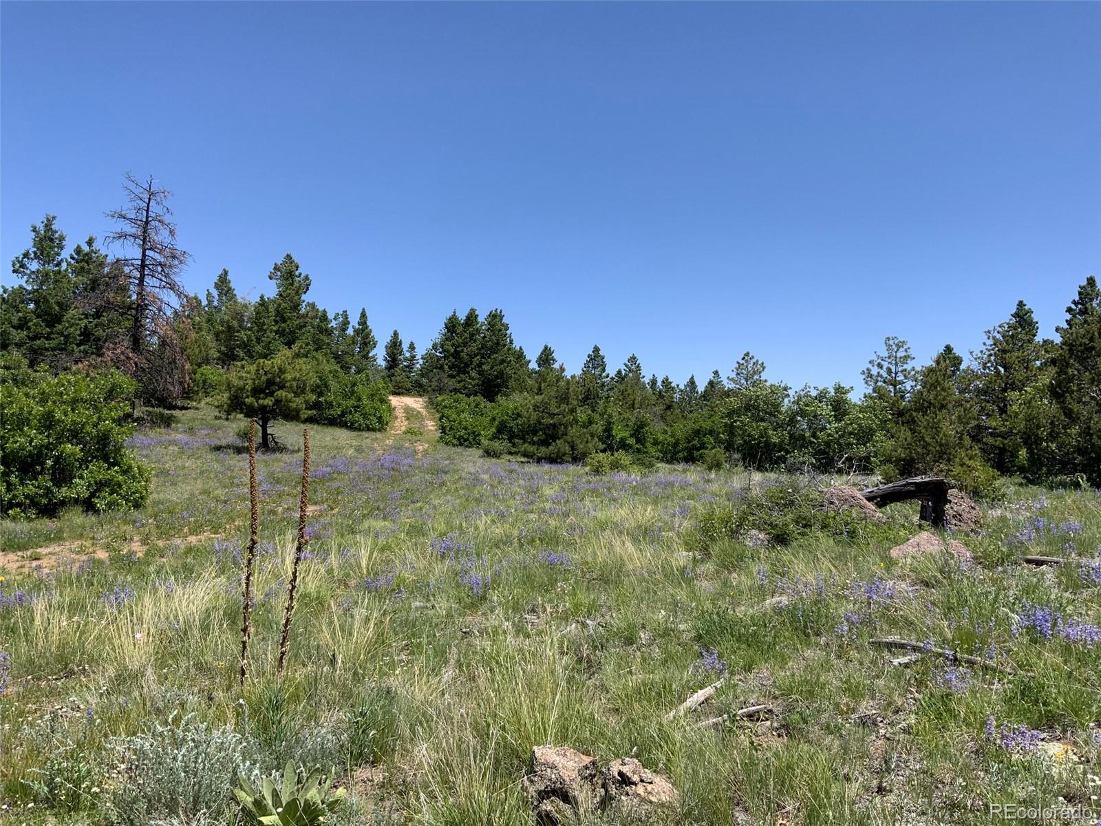 000 Peak View Ridge