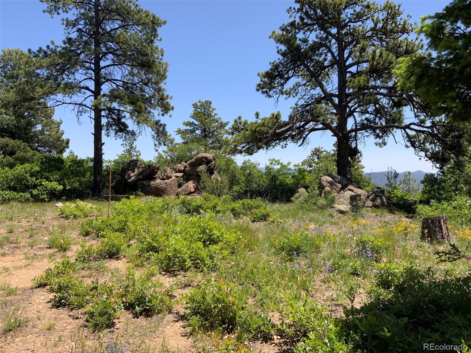 000 Peak View Ridge