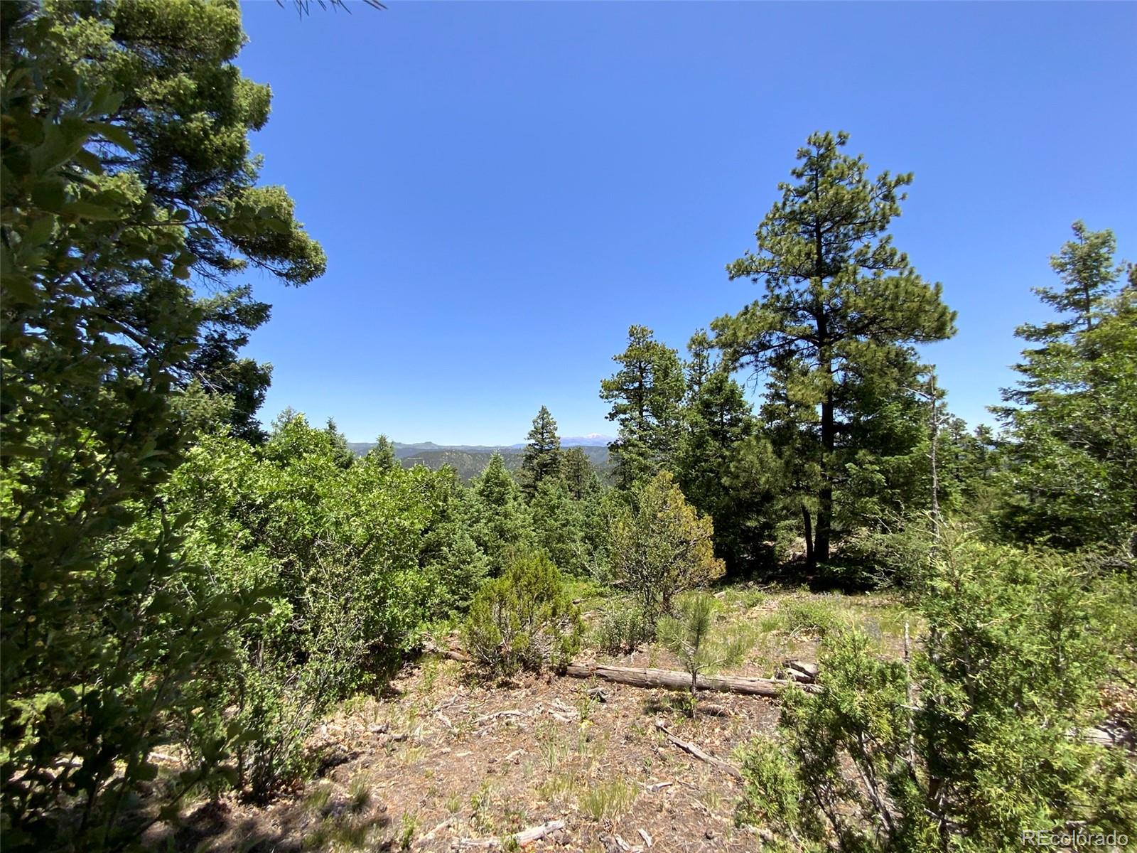000 Peak View Ridge