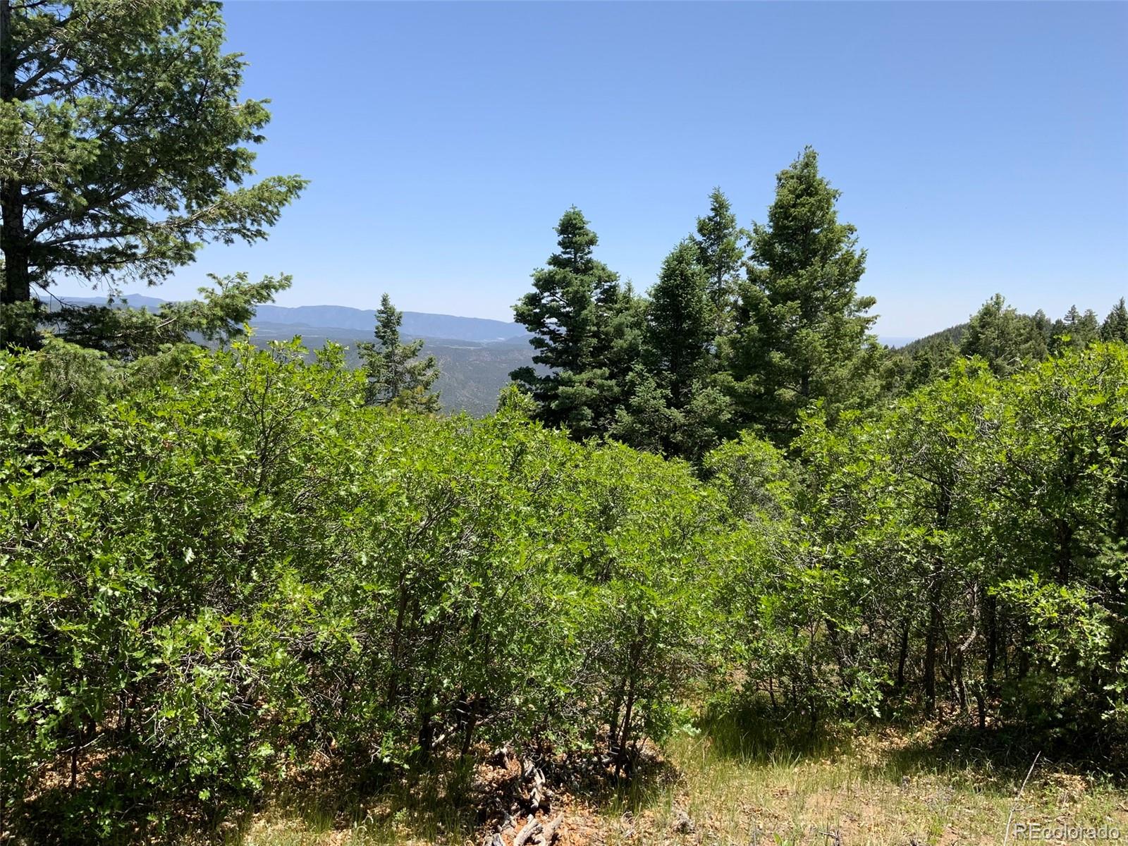 000 Peak View Ridge