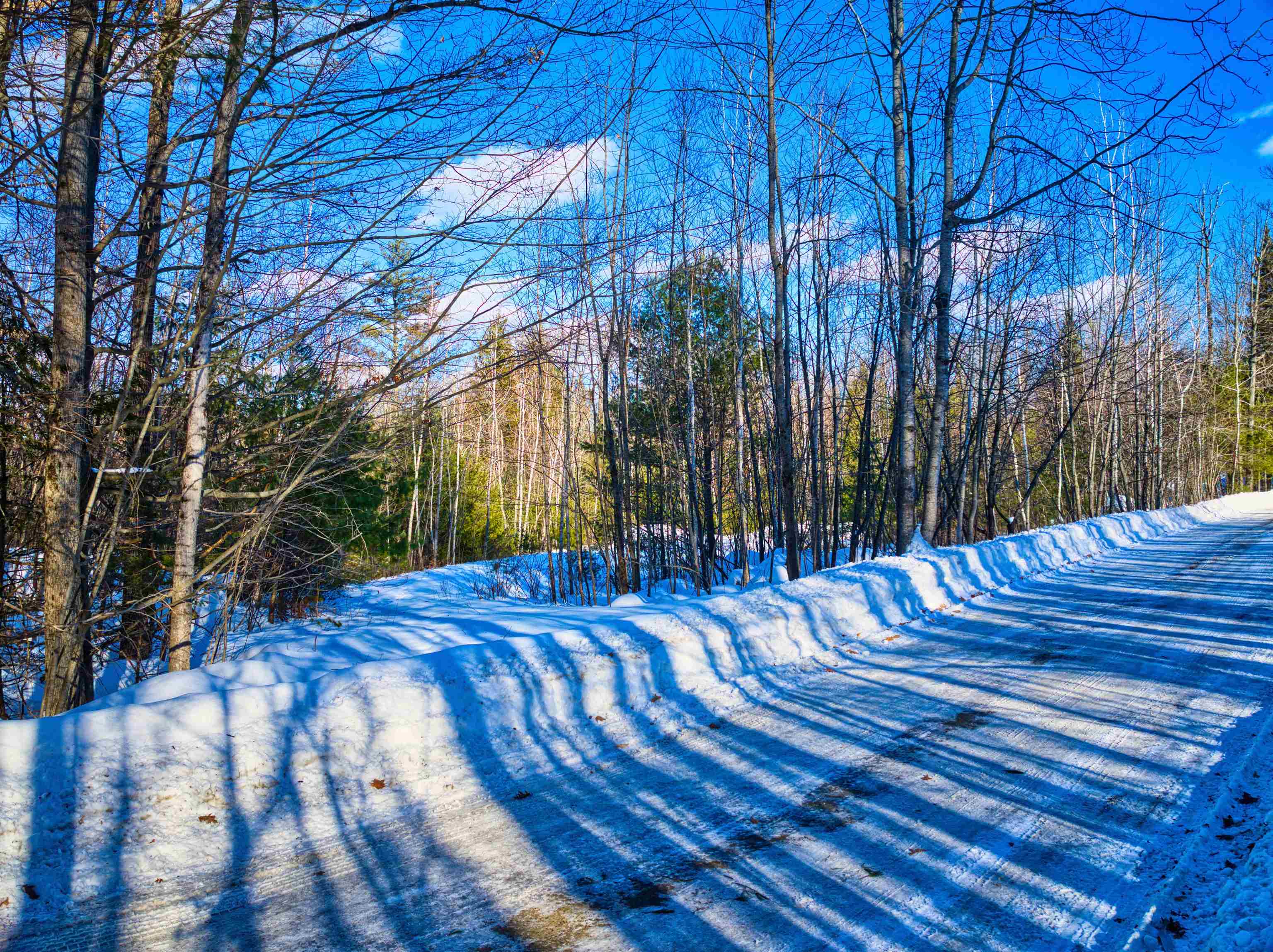 Sunshine Avenue