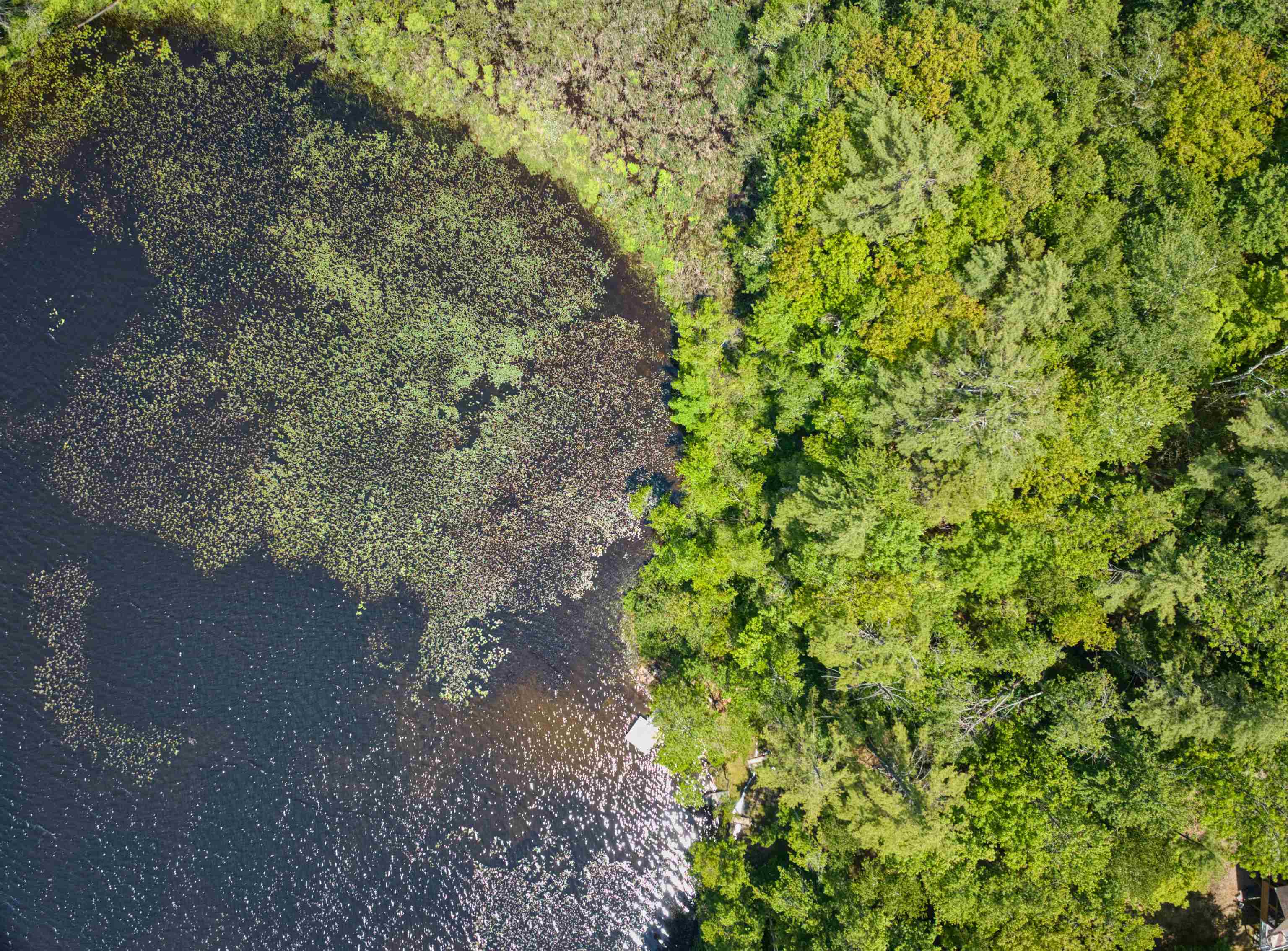 00 Stocker Pond Road