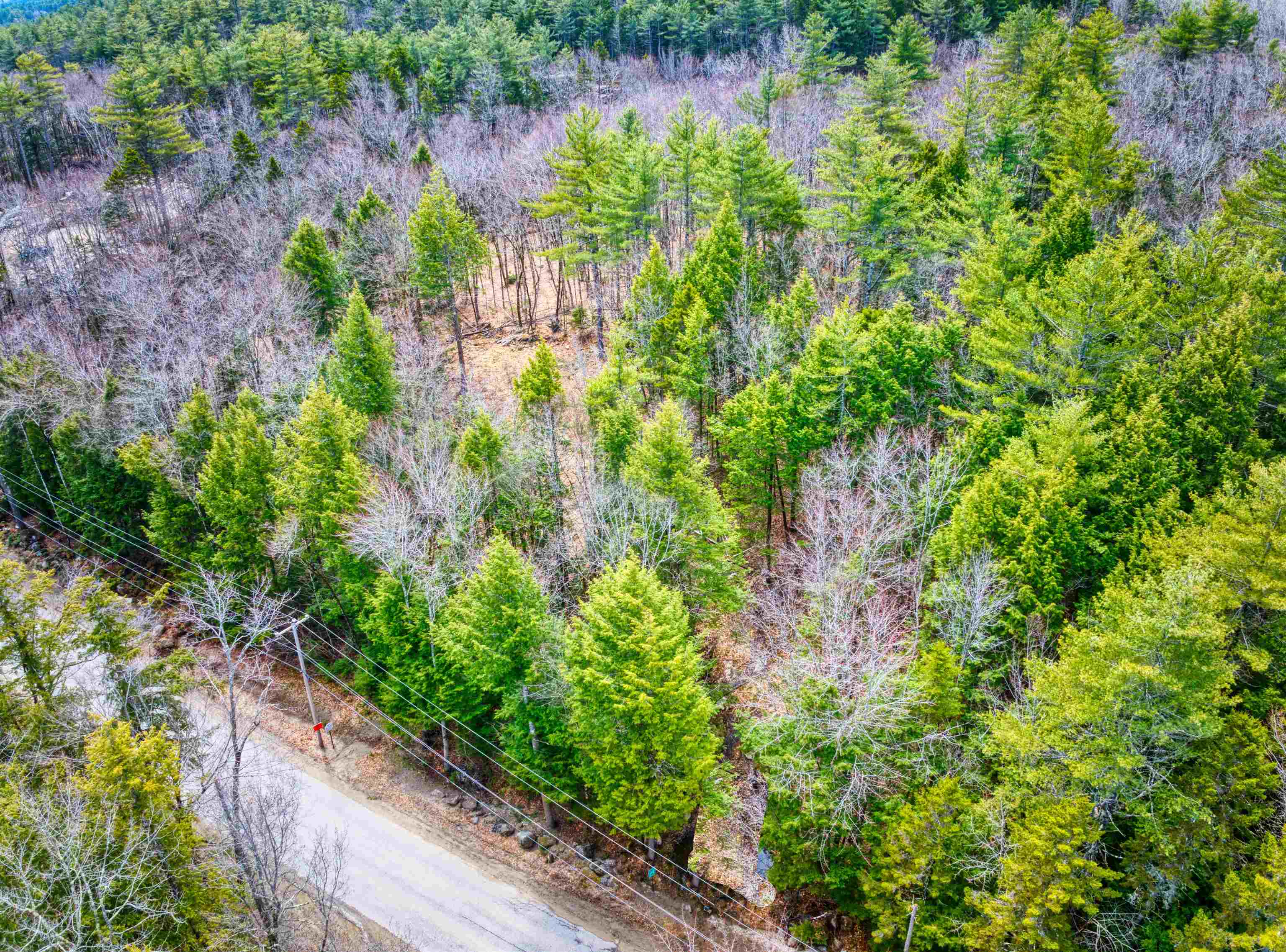 Hominy Pot Road