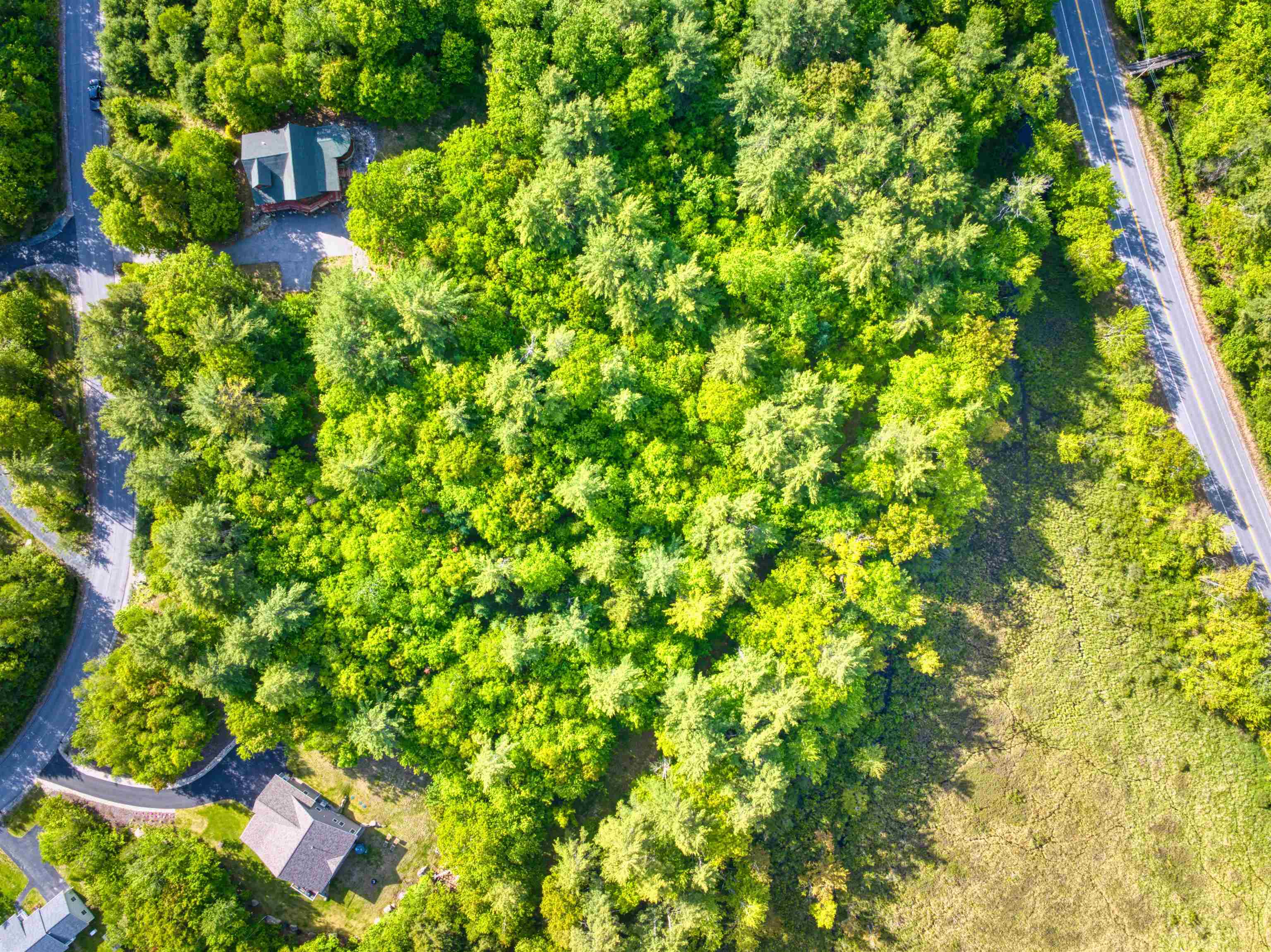 Jeffrey Drive