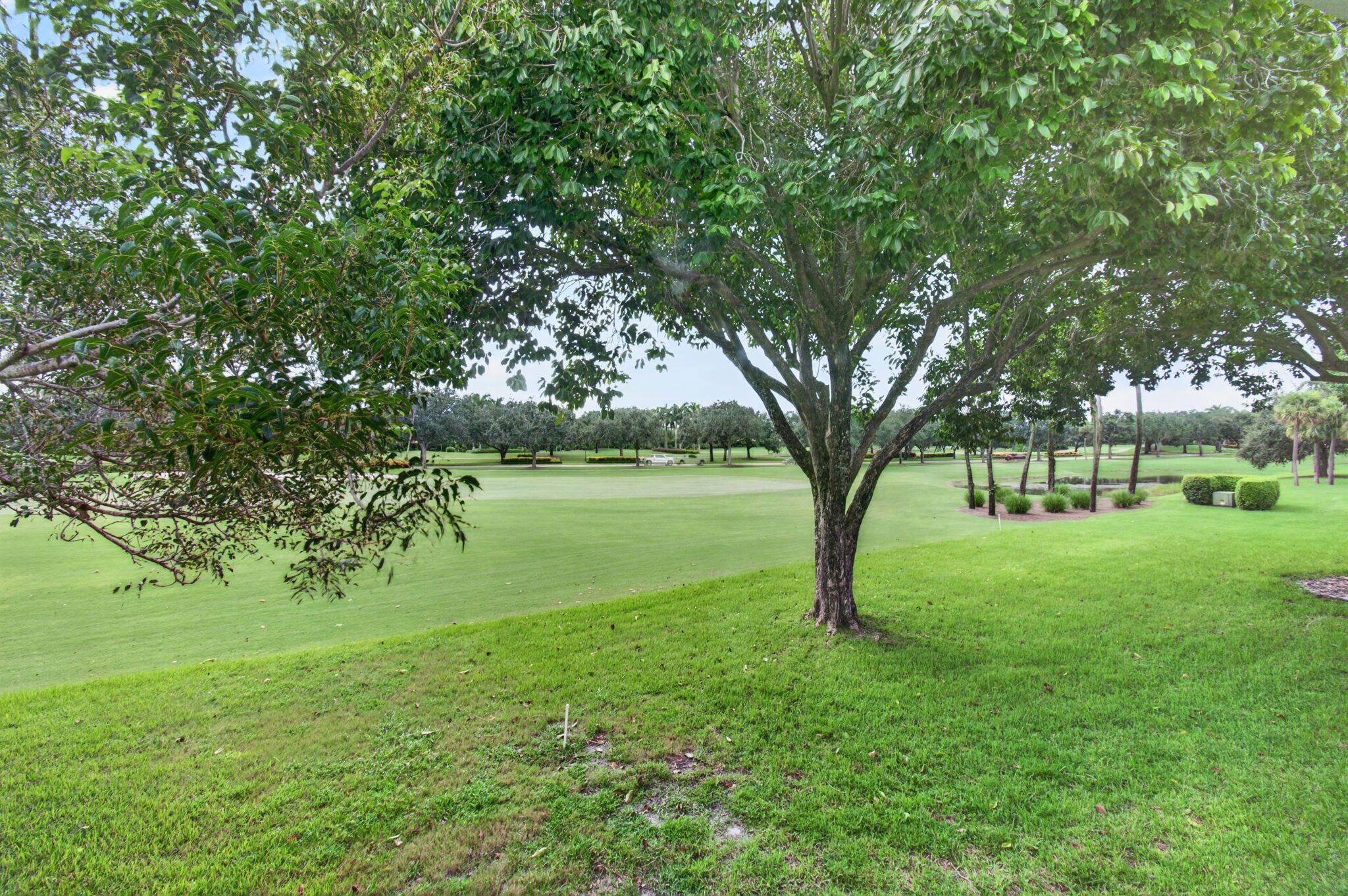 15339 Strathearn Drive