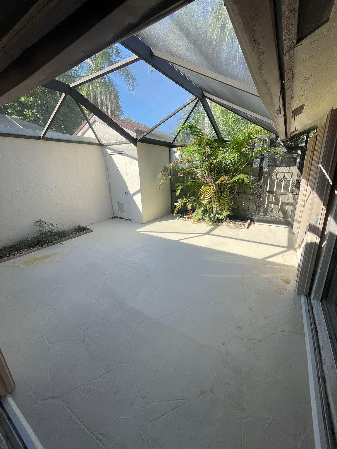 4637 Carambola Cir 2719