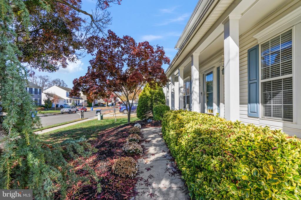 26 Hackemore St