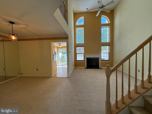 1006 Pebble Creek Ct