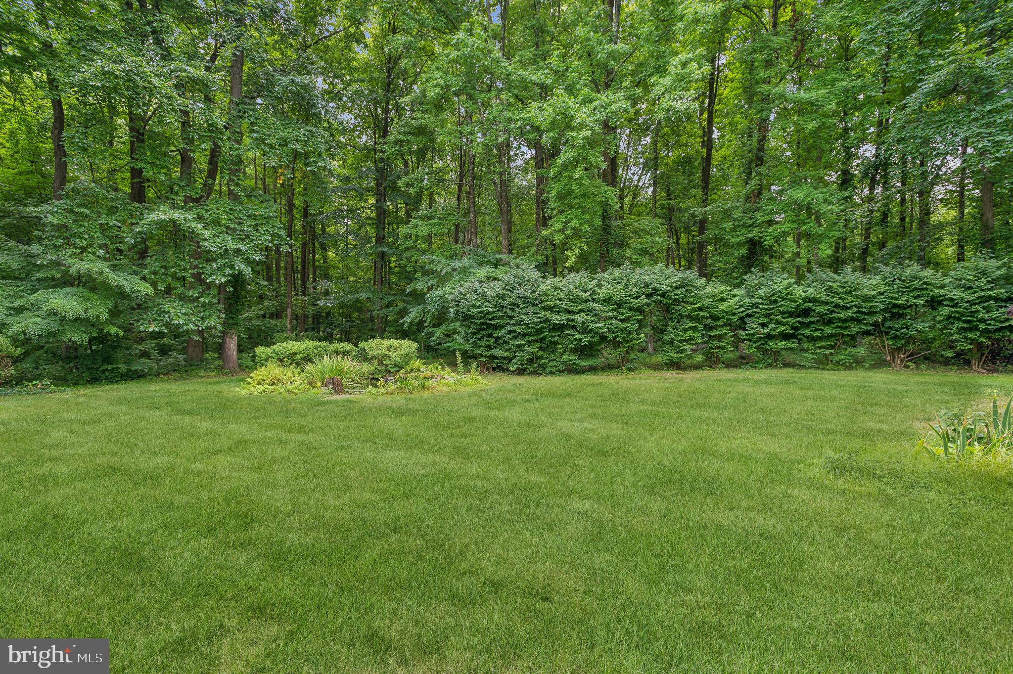 103 Balcort Dr
