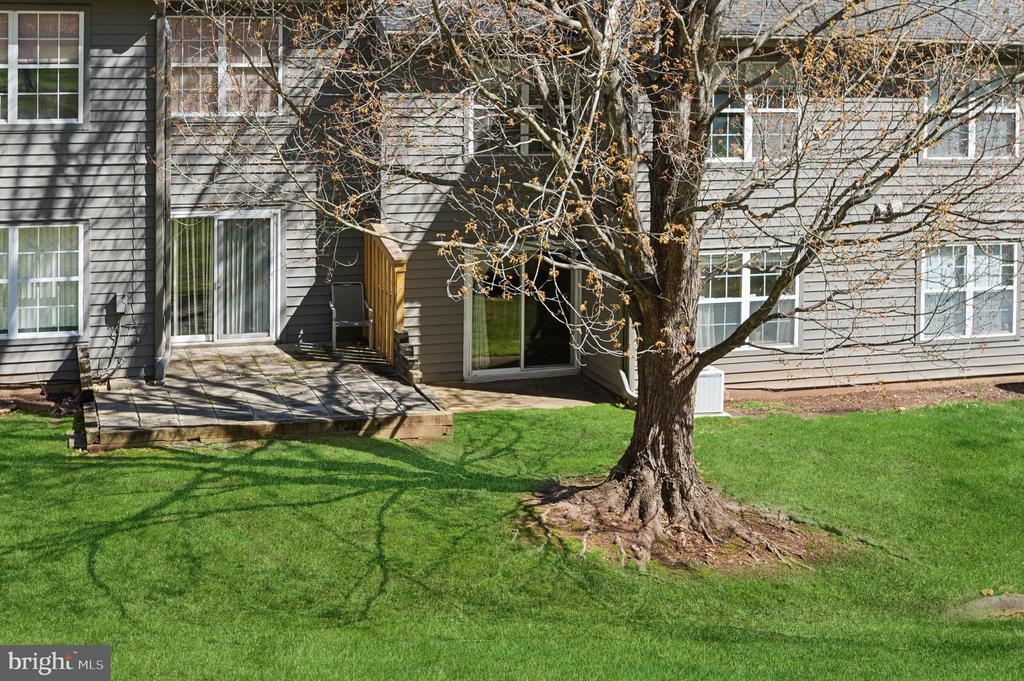 27 E Chicopee Dr