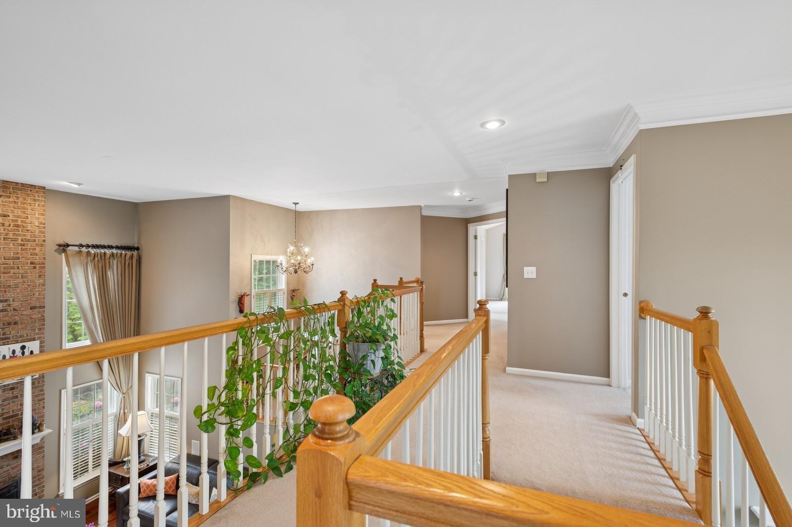 56 Saxon Way