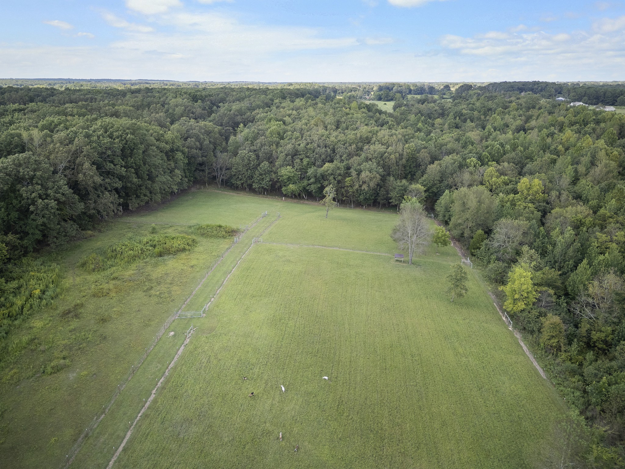 128 Pleasant Garden Rd