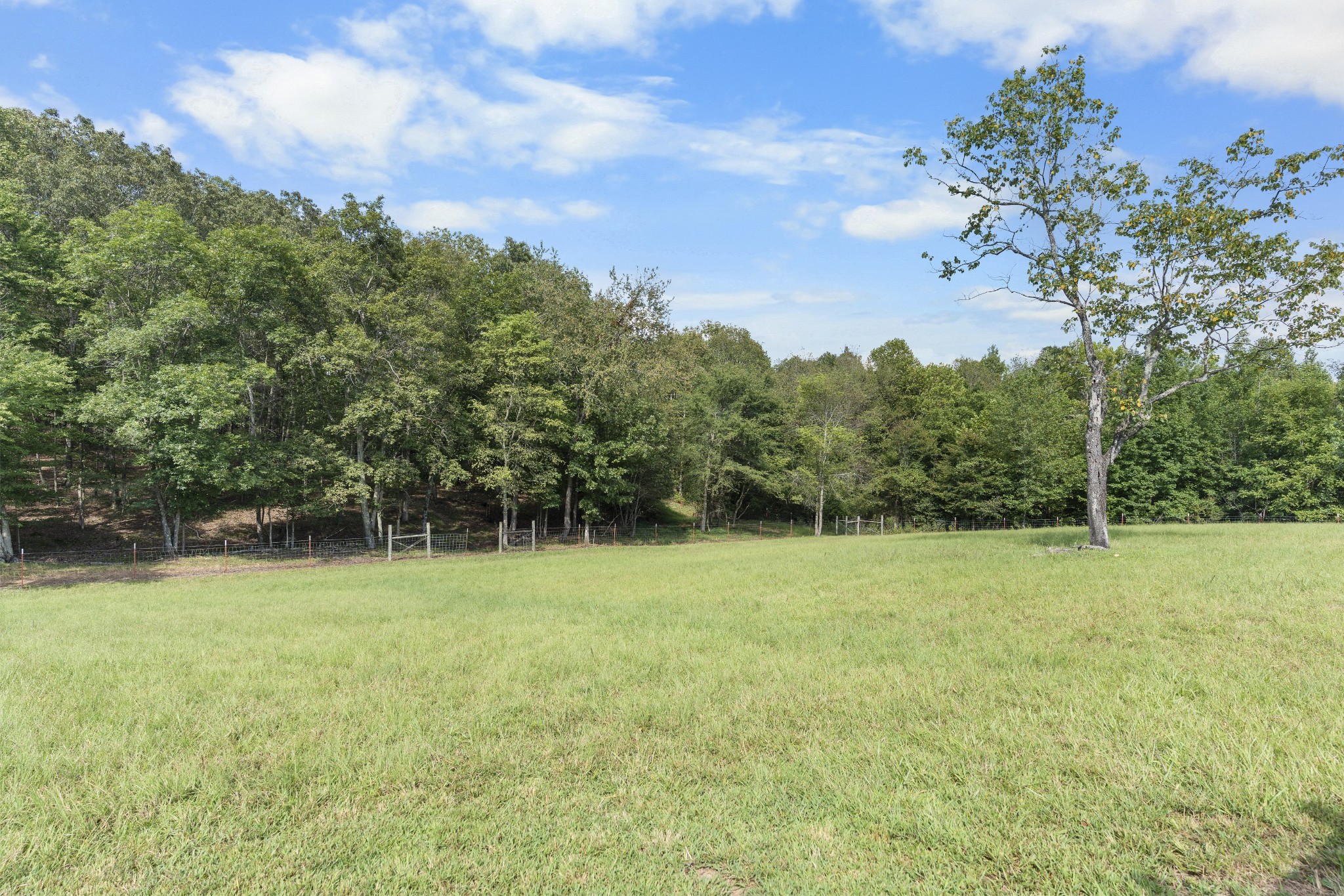 128 Pleasant Garden Rd