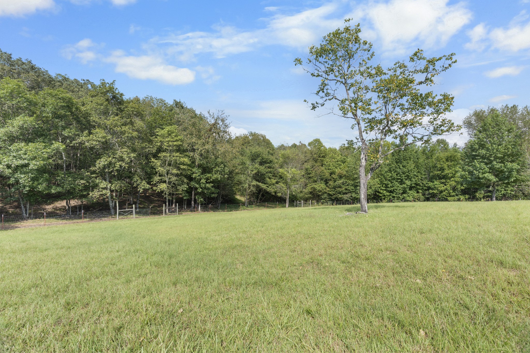 128 Pleasant Garden Rd