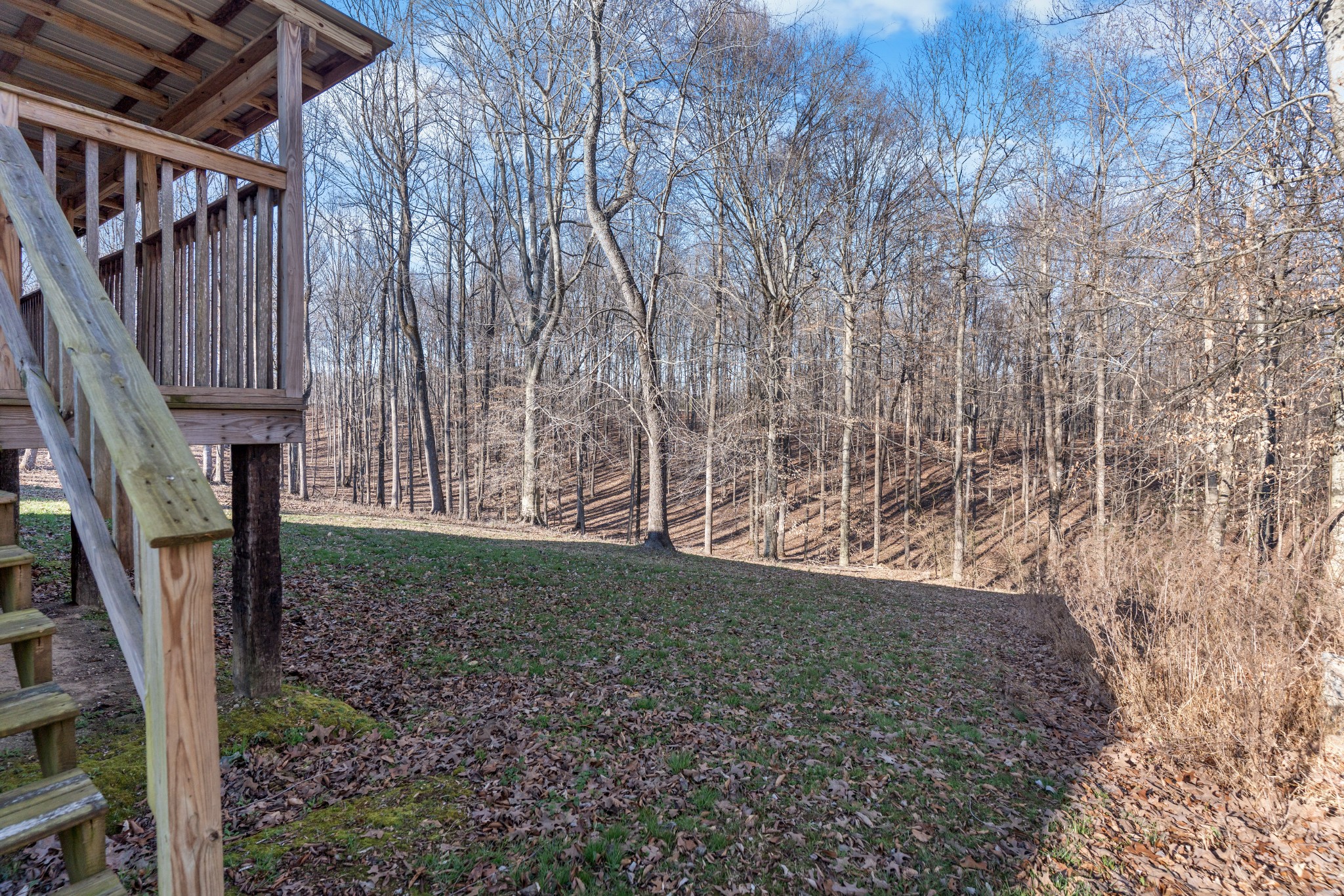 590 Jackson Hollow Rd