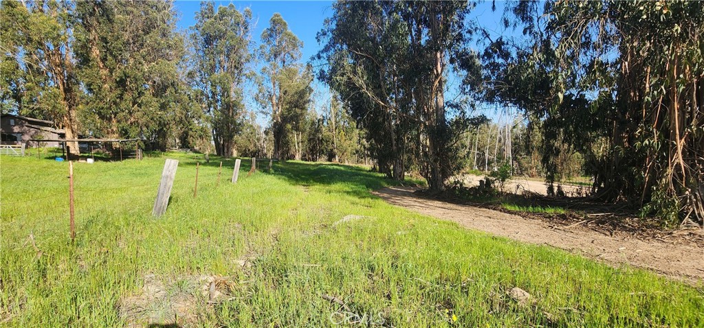 1250 Willow Road