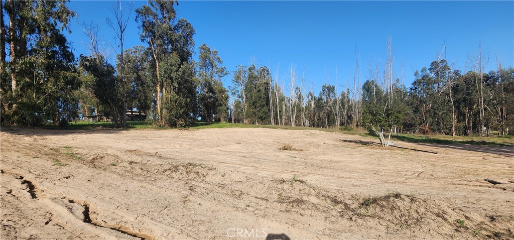 1250 Willow Road