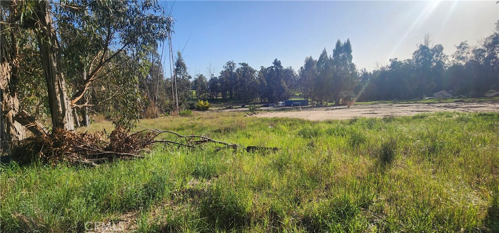 1250 Willow Road