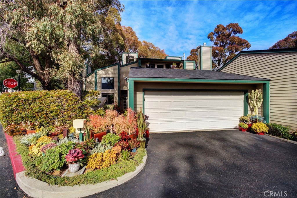 1445 Prefumo Canyon Road 1