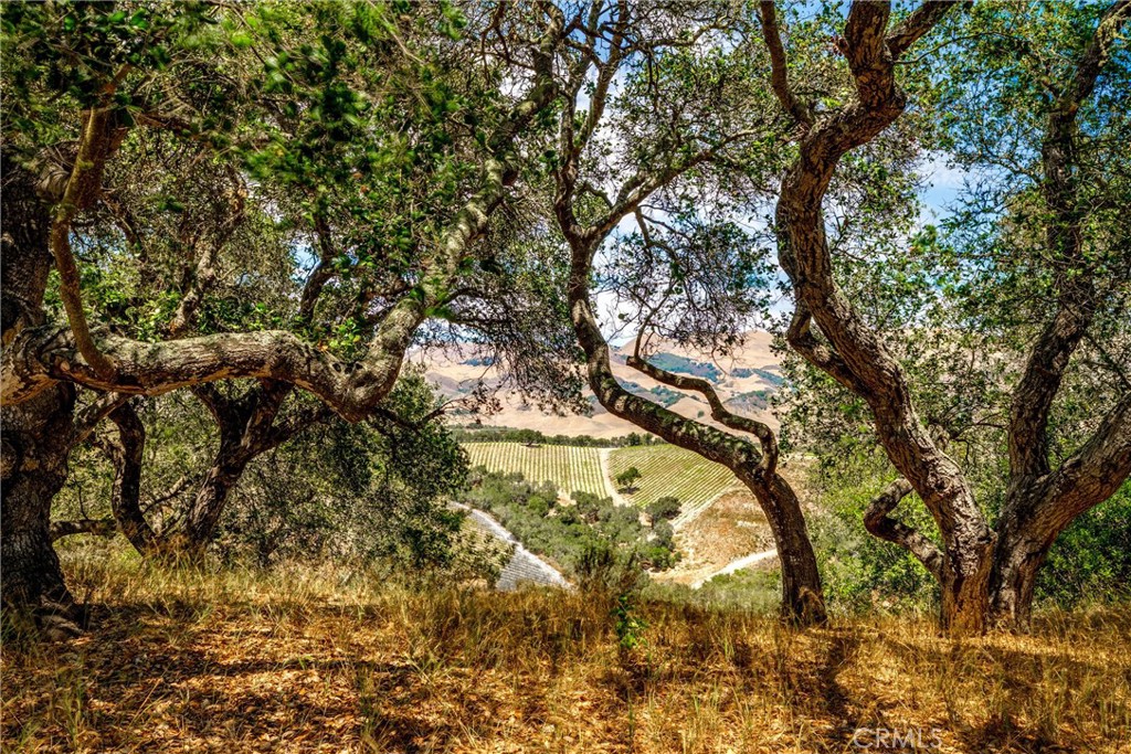 655 Mission Springs Road