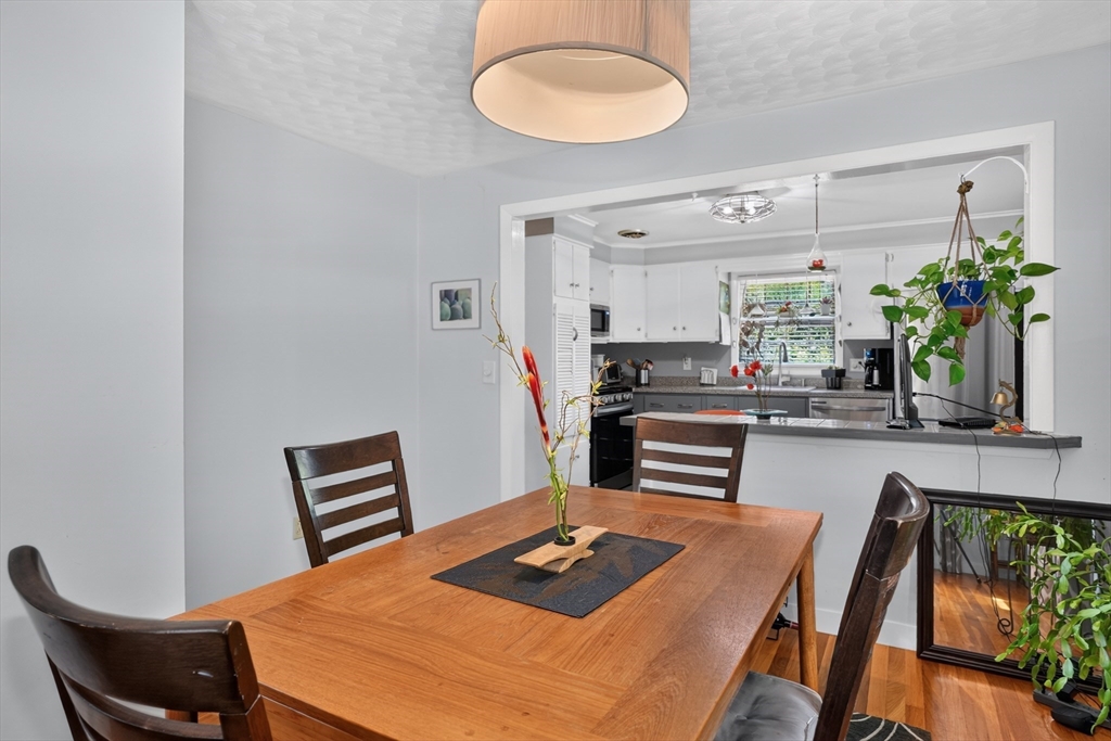 18 Cortland Dr