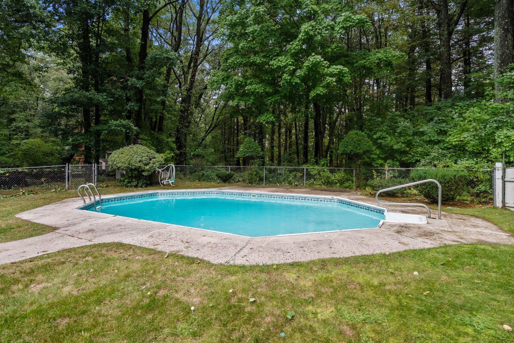 Outdoor swimming pool with a concrete surround, grassy yard, and dense trees beyond a chain-link fence.