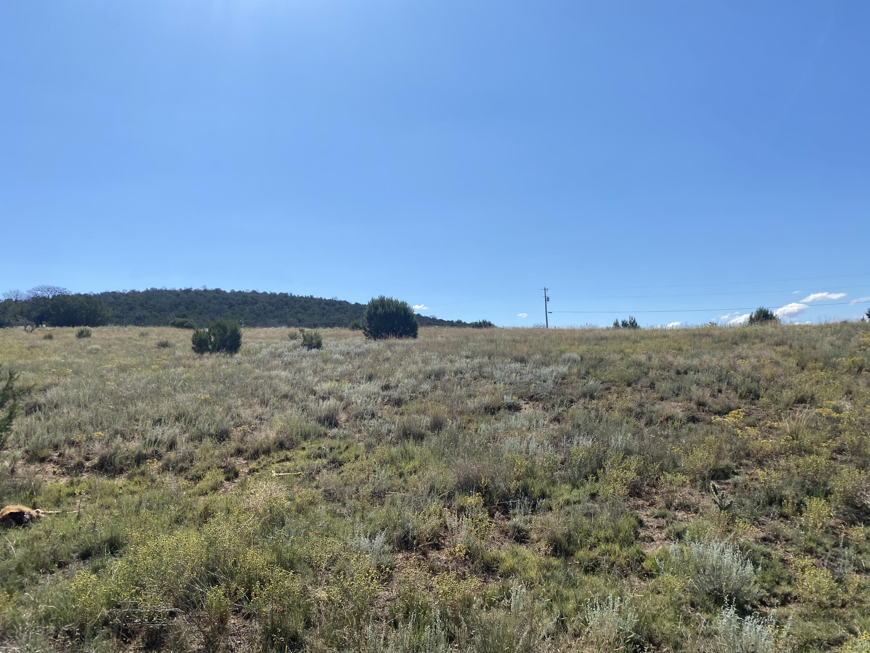 Tbd Pioneer Road