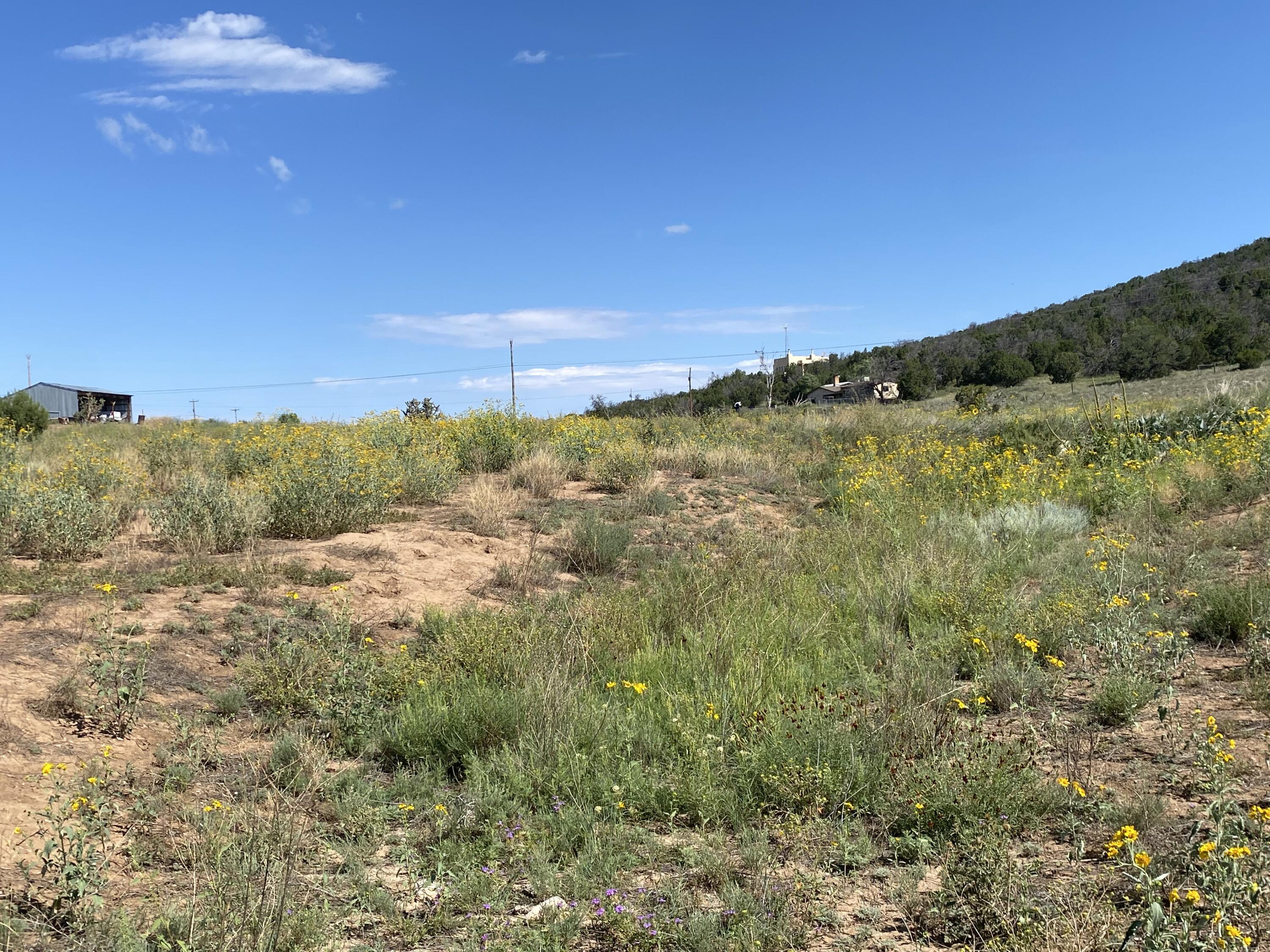 Tbd Pioneer Road