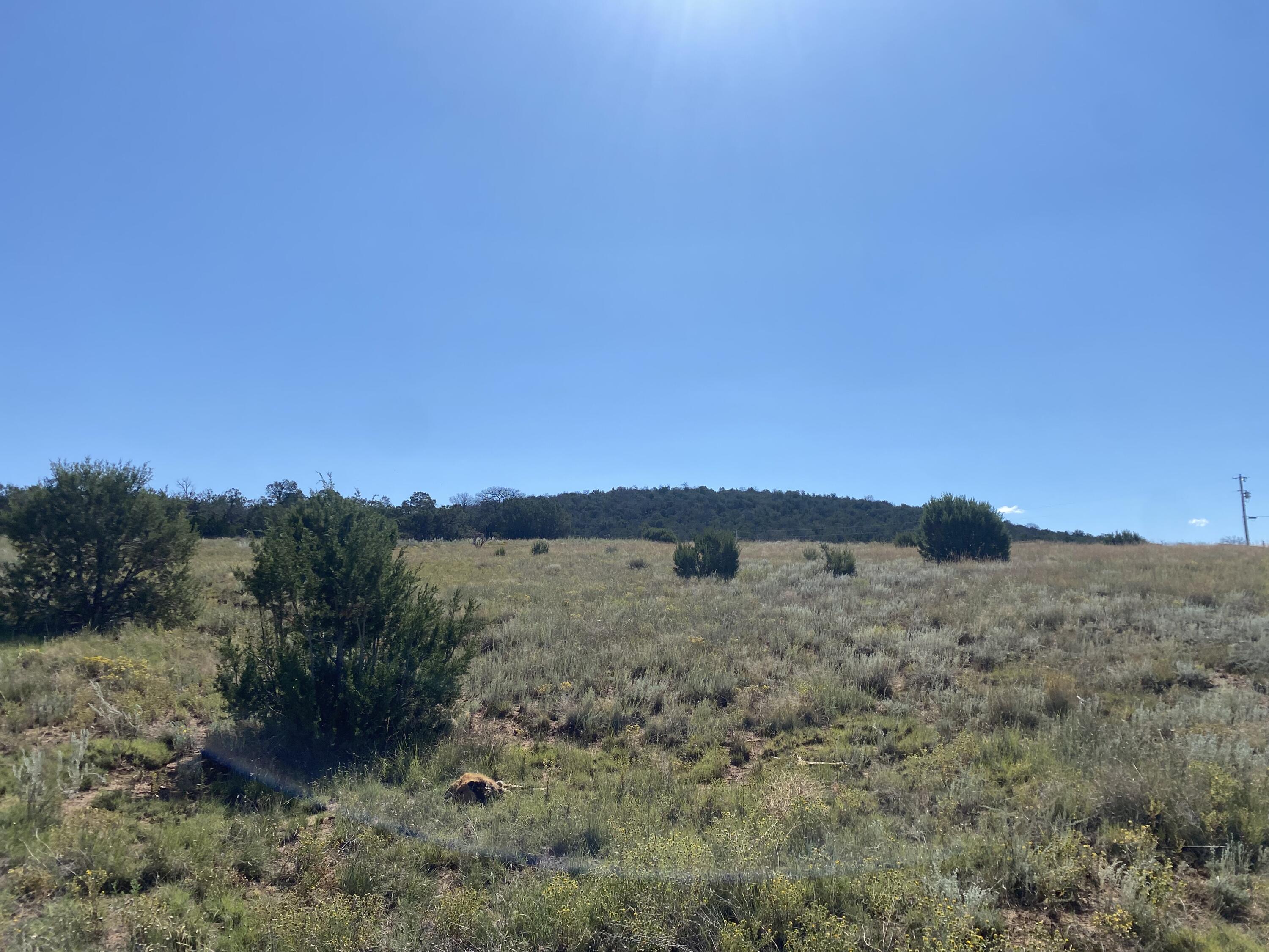 Tbd Pioneer Road