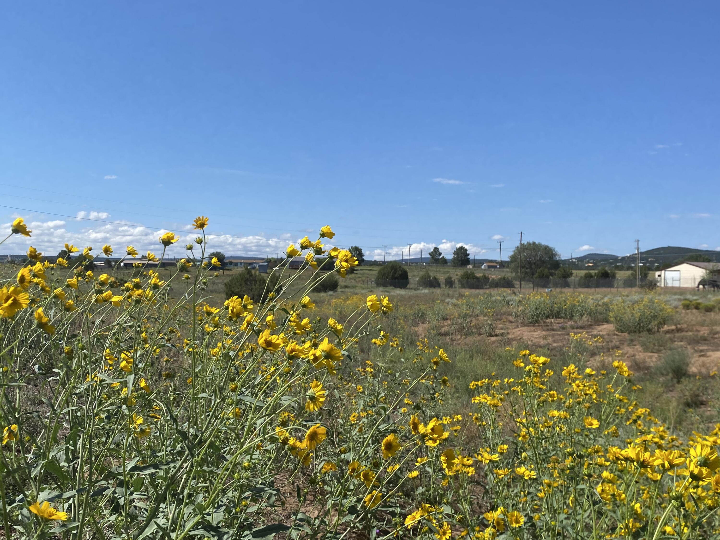 Tbd Pioneer Road