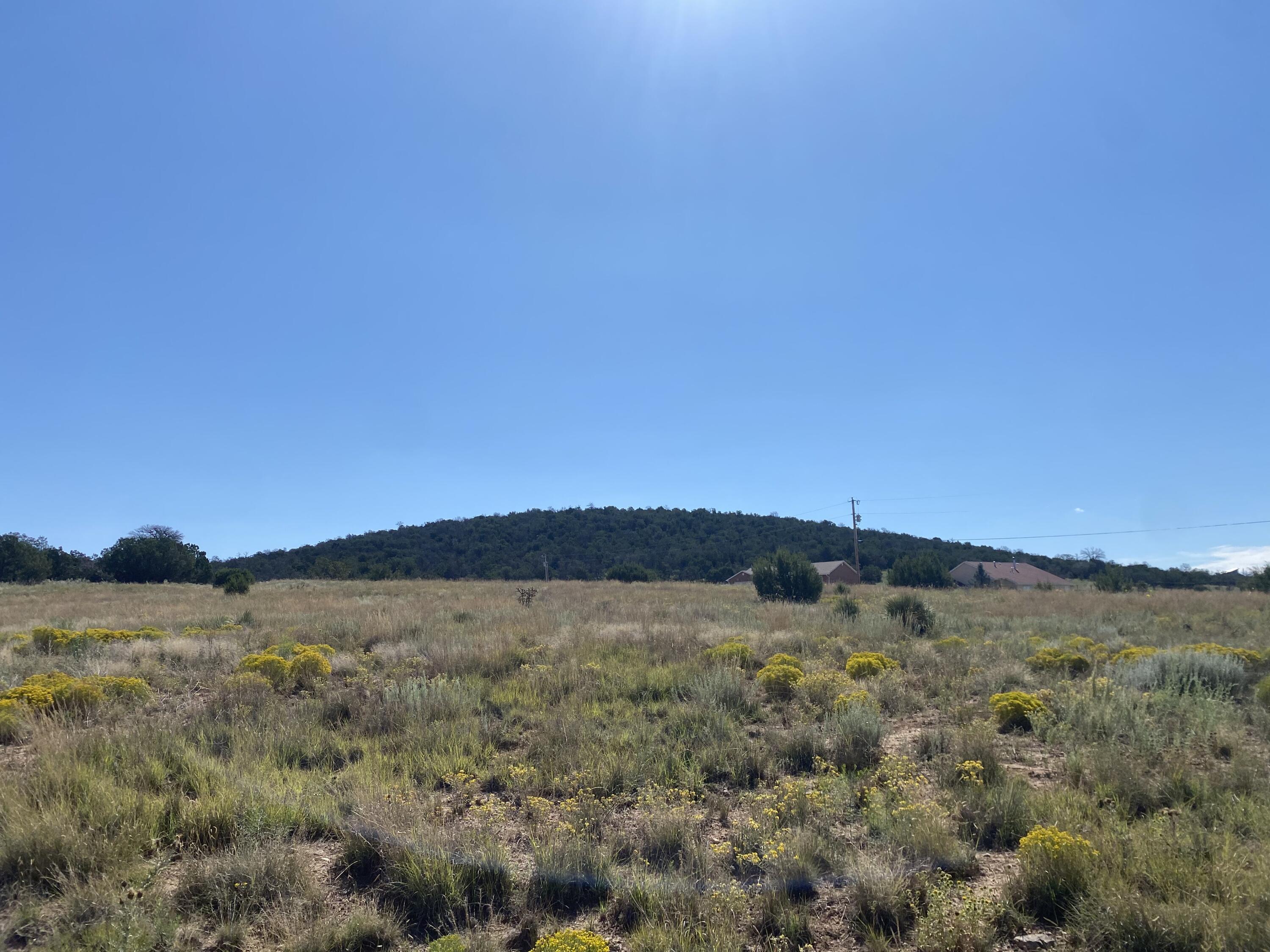 Tbd Pioneer Road