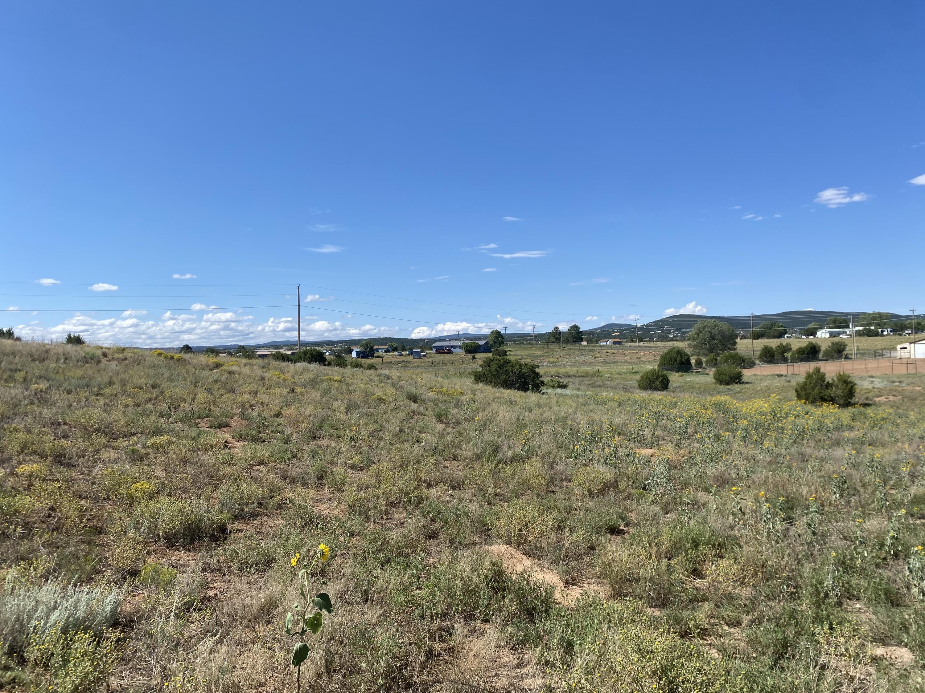 Tbd Pioneer Road