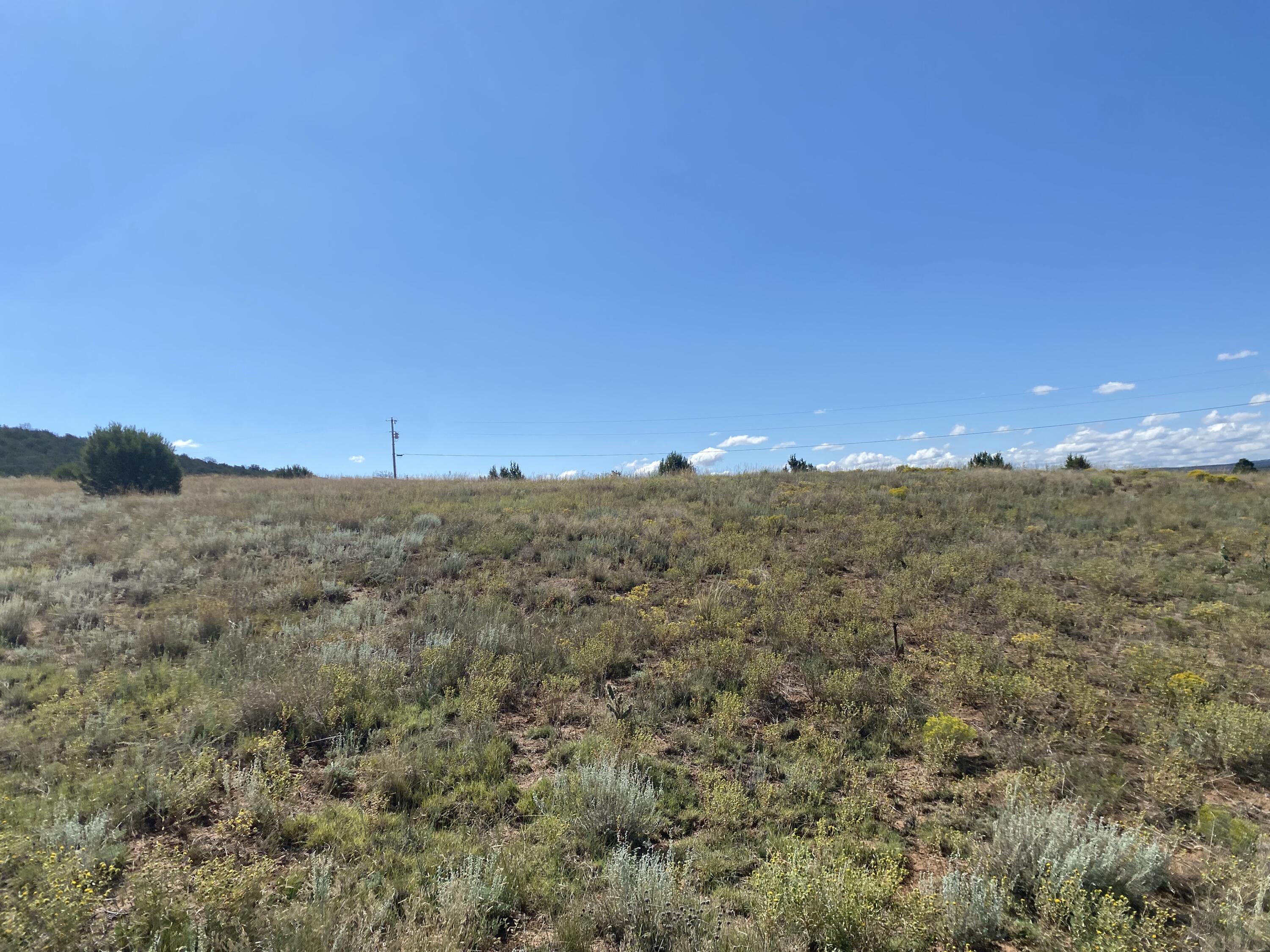 Tbd Pioneer Road