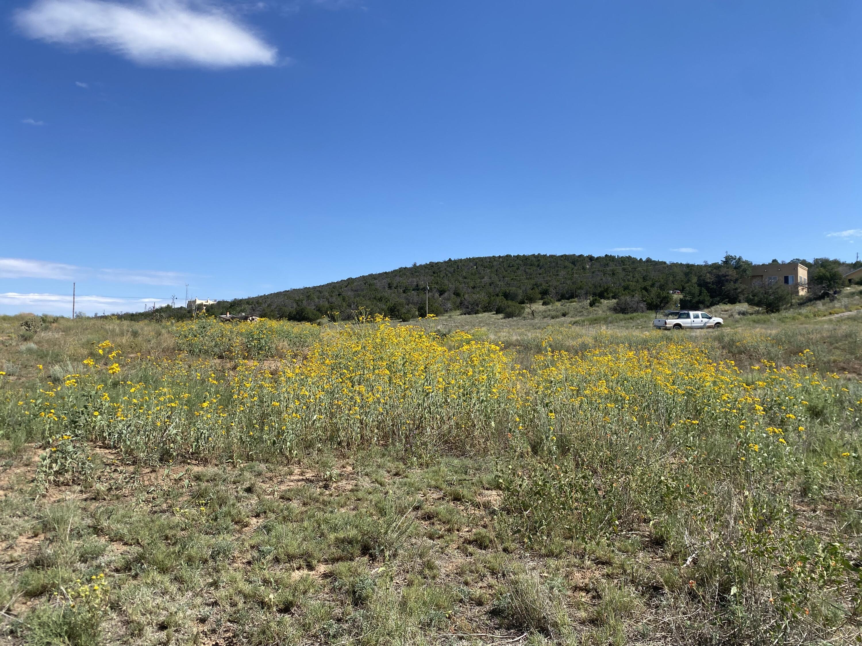 Tbd Pioneer Road