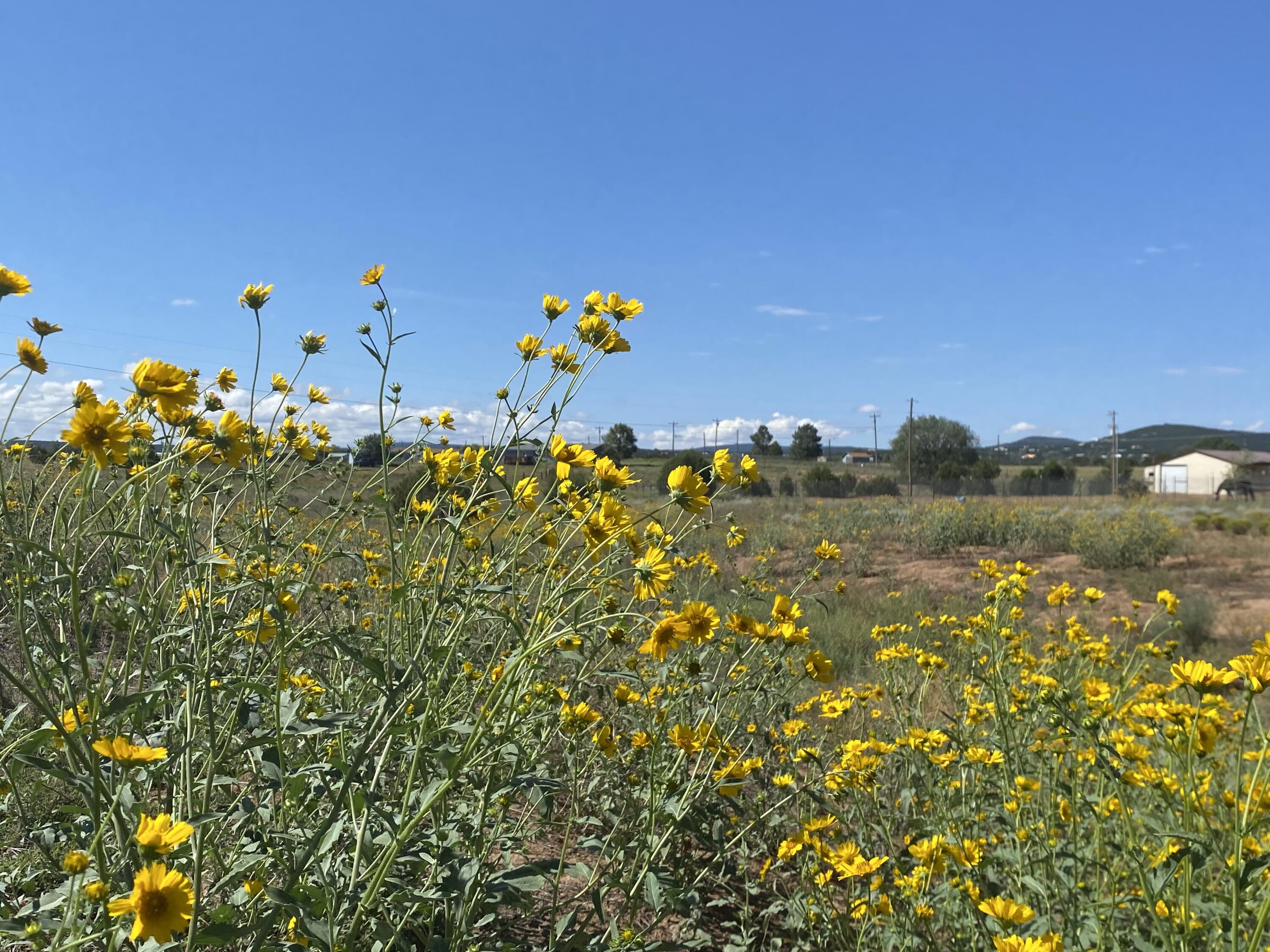Tbd Pioneer Road