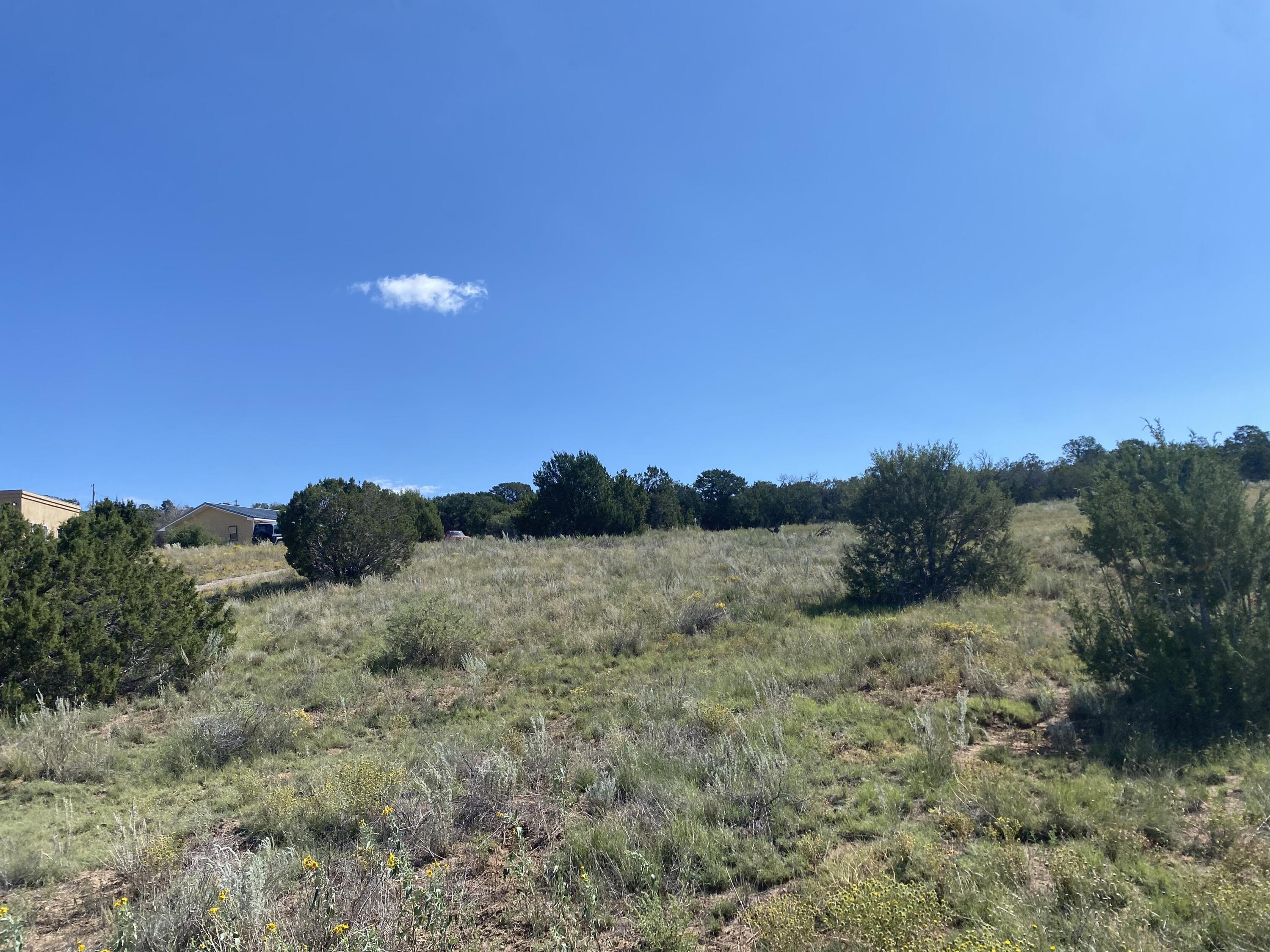 Tbd Pioneer Road