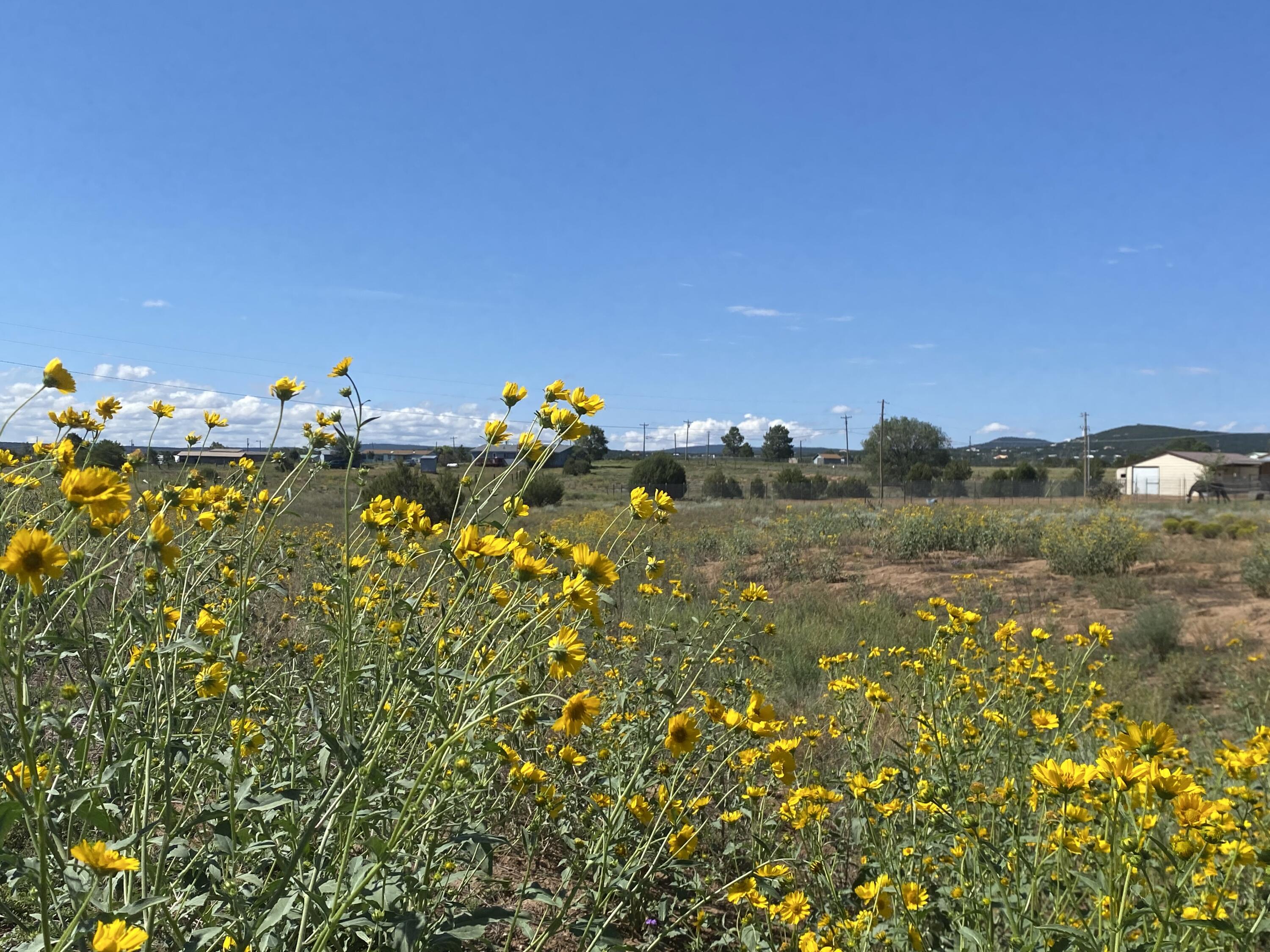 Tbd Pioneer Road