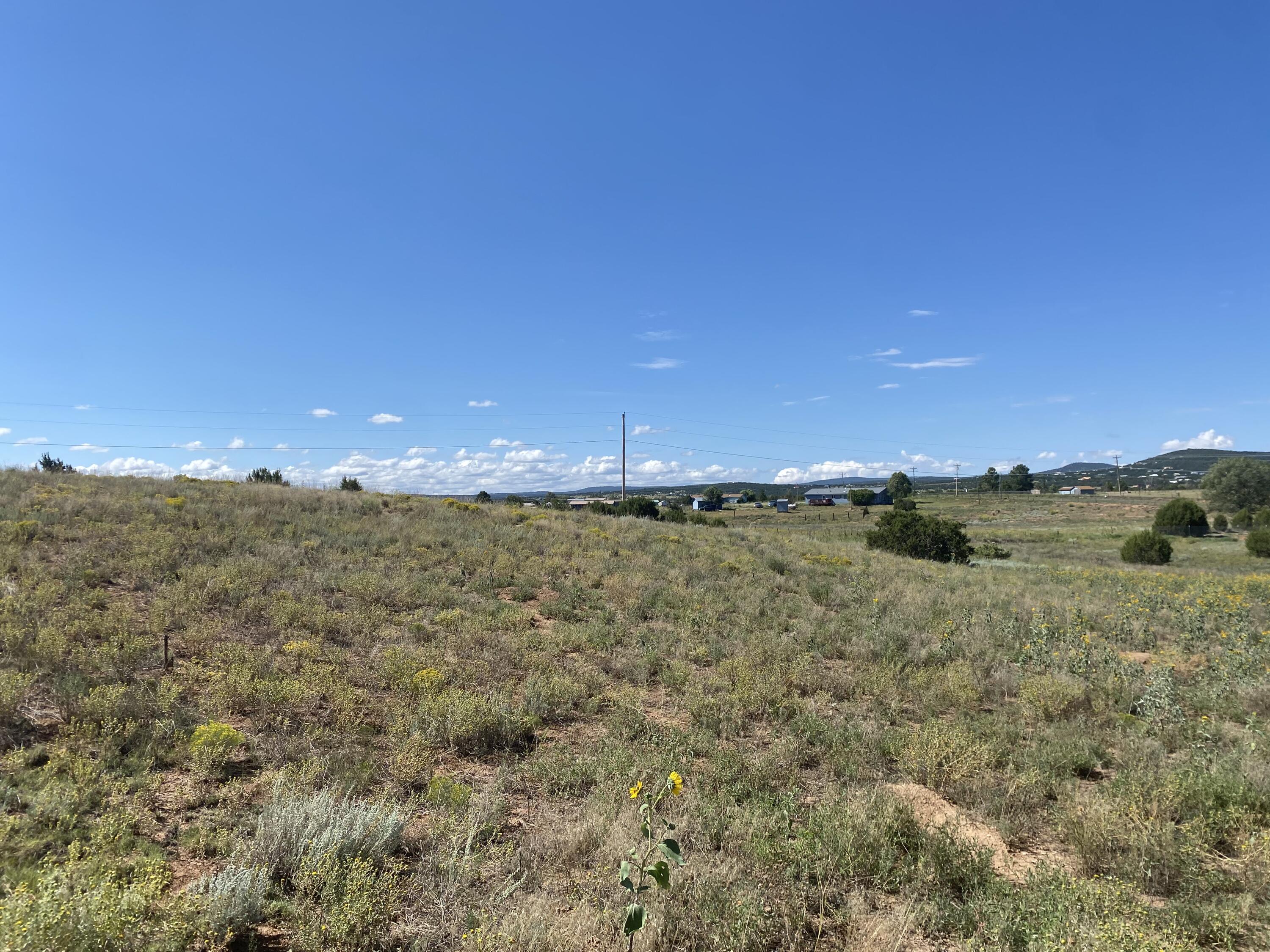 Tbd Pioneer Road