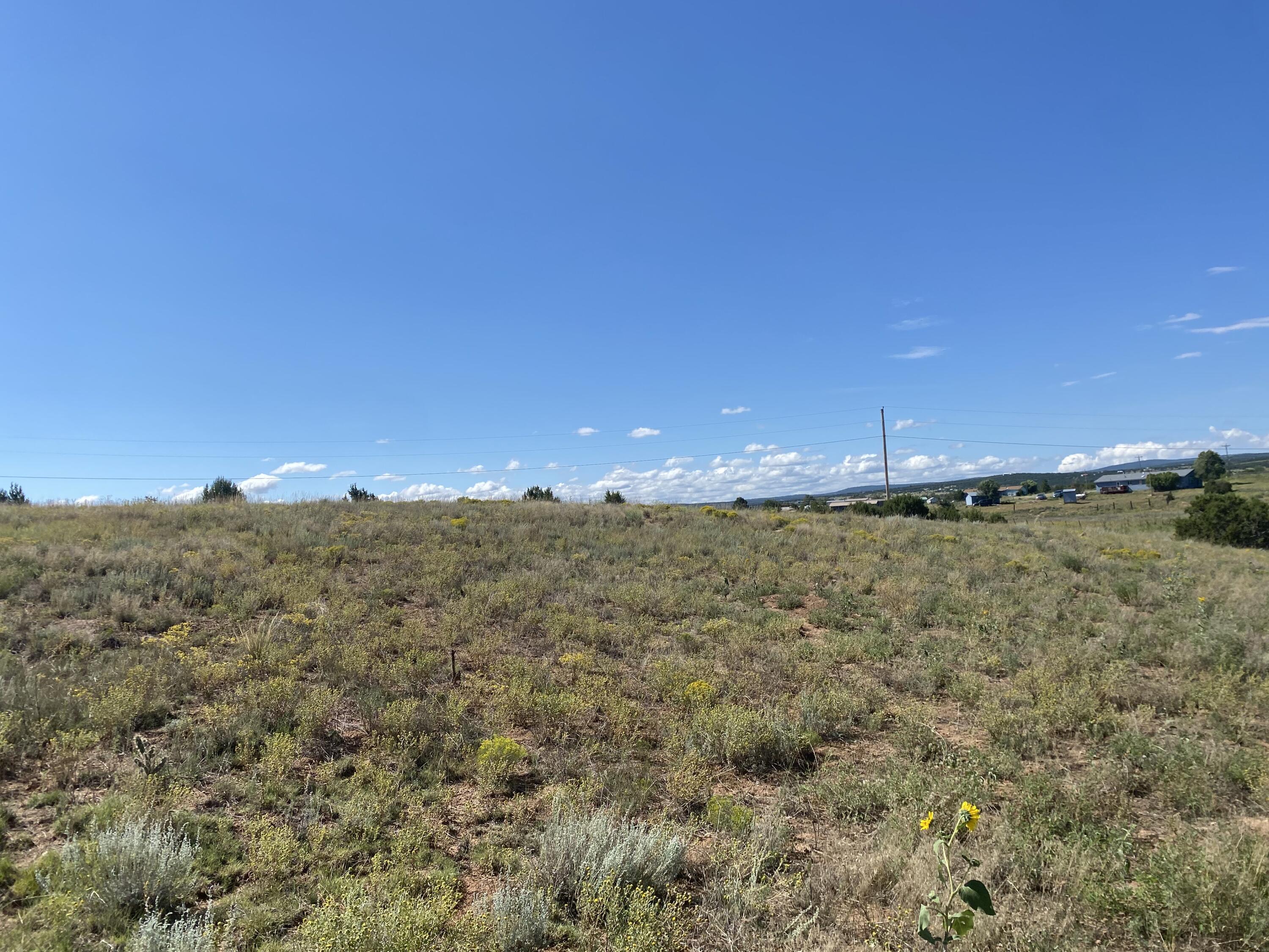 Tbd Pioneer Road