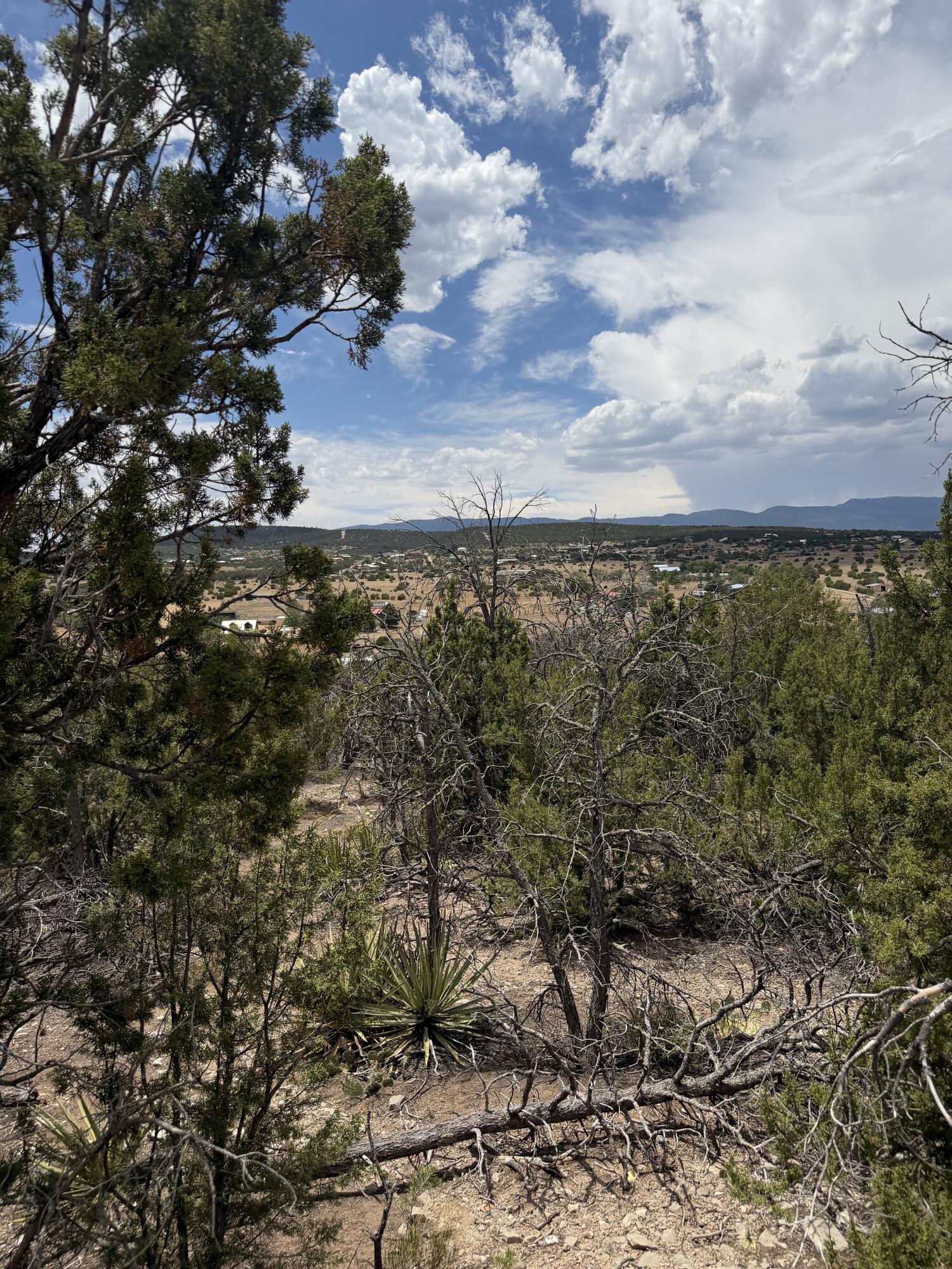 0 County Line Road