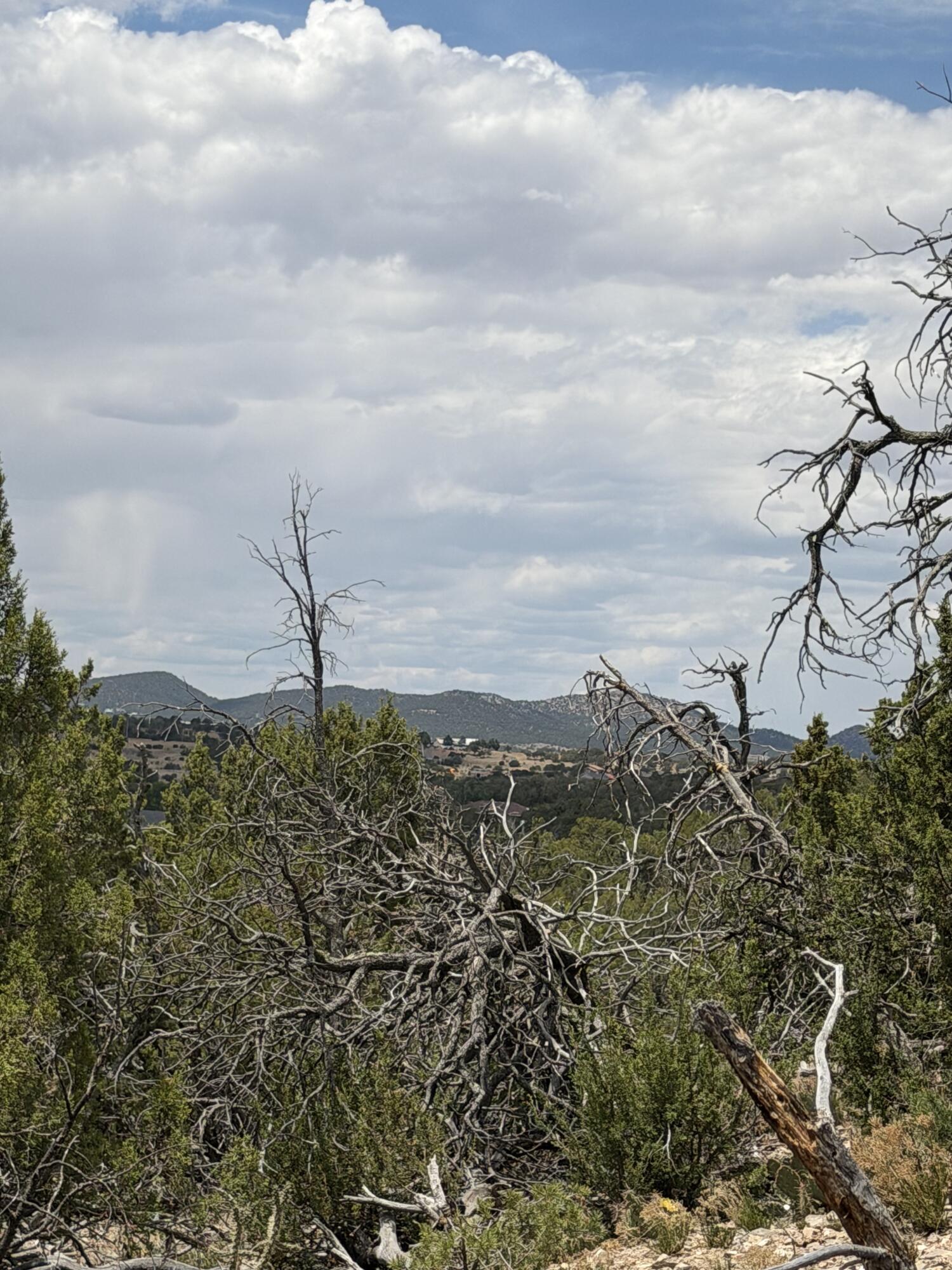 0 County Line Road