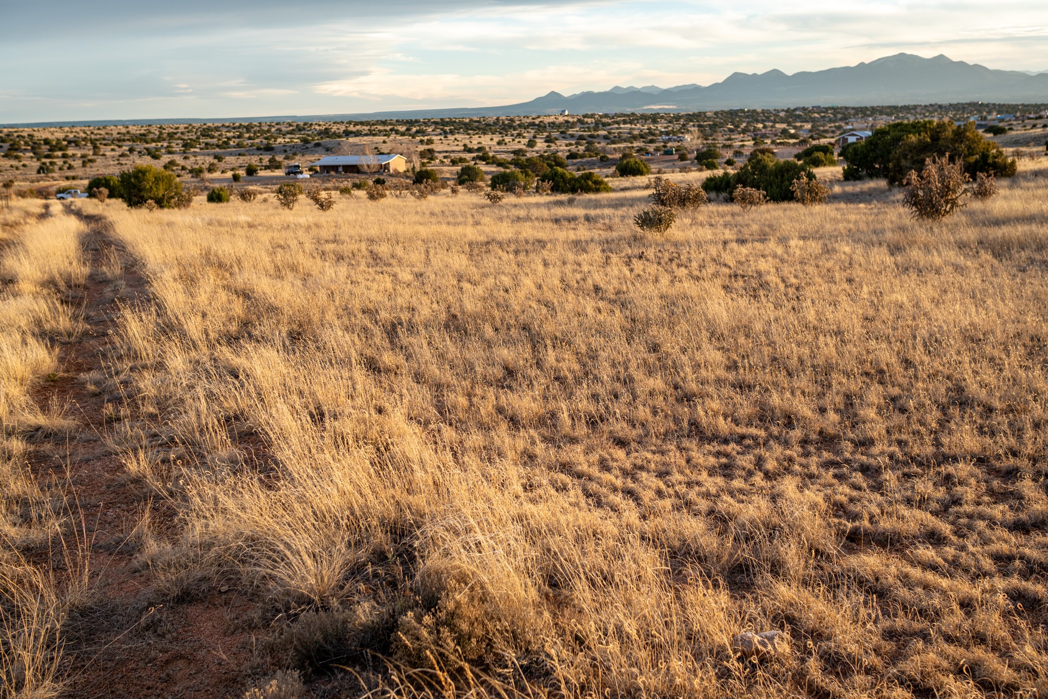 Vacant grassy parcel with a dirt track and distant mountain views.