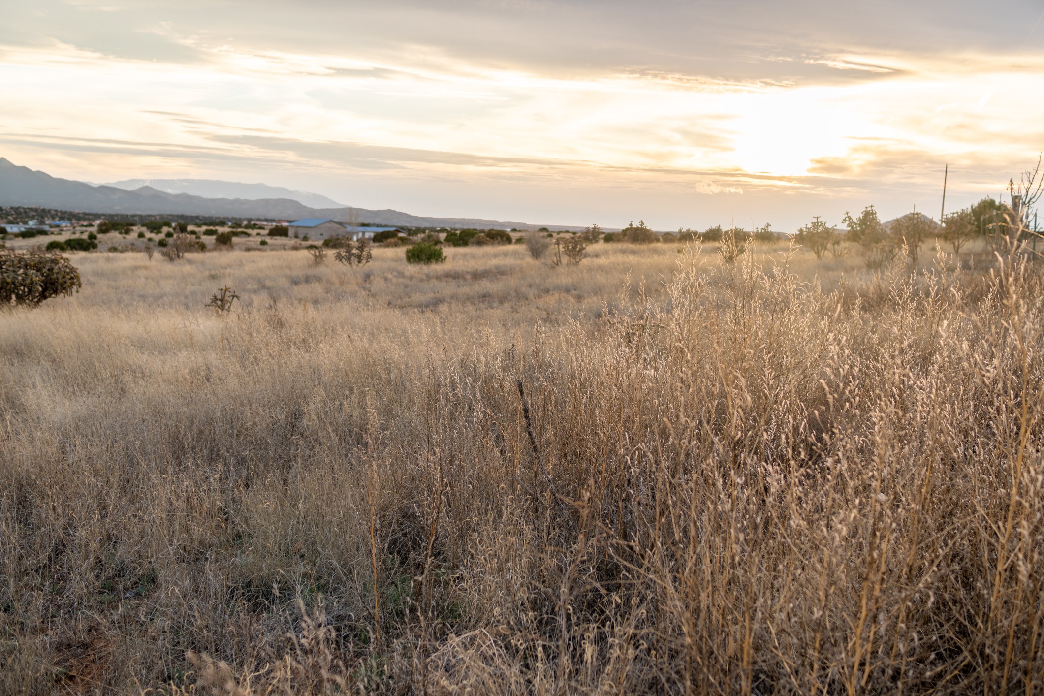 Vacant grassy lot with scattered shrubs and distant mountains at sunset.